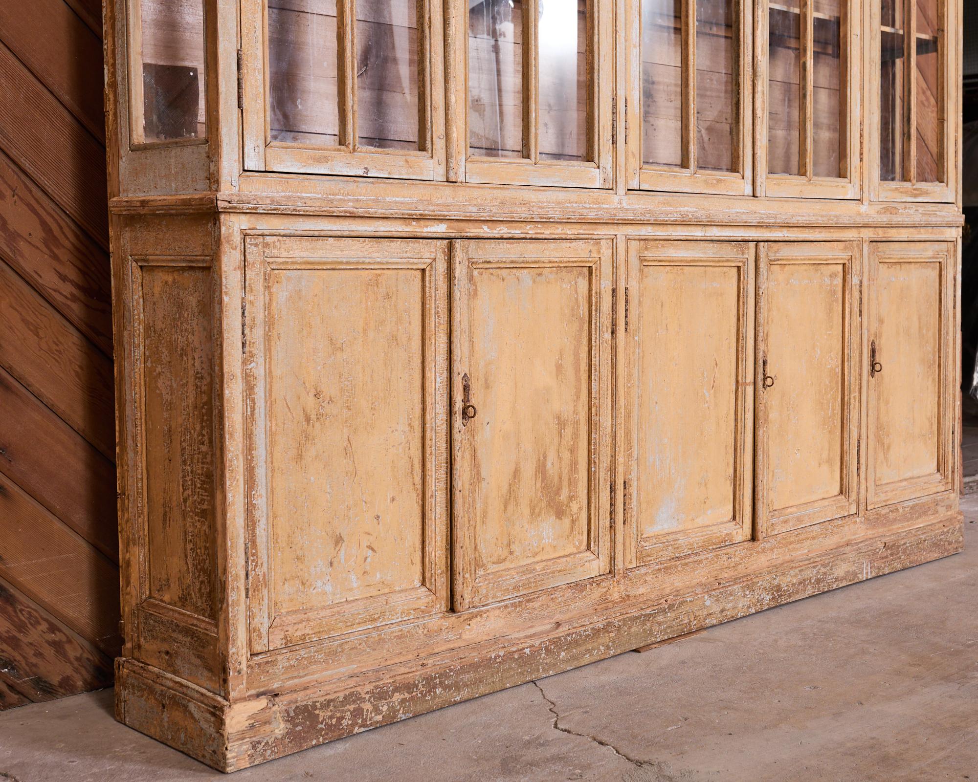 Glass 19th Century Country French Provincial Library Bookcase Cabinet