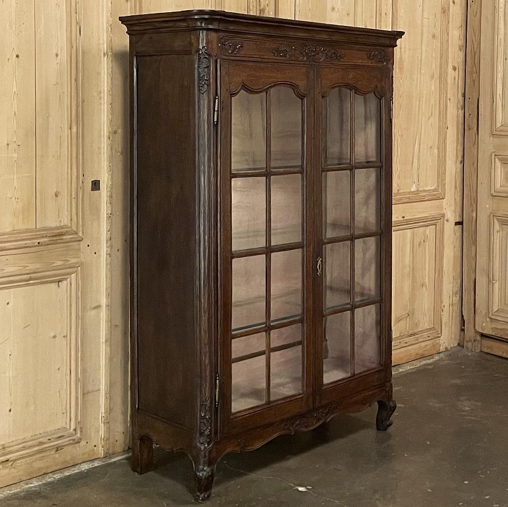 French Provincial 19th Century Country French Vitrine, Bookcase