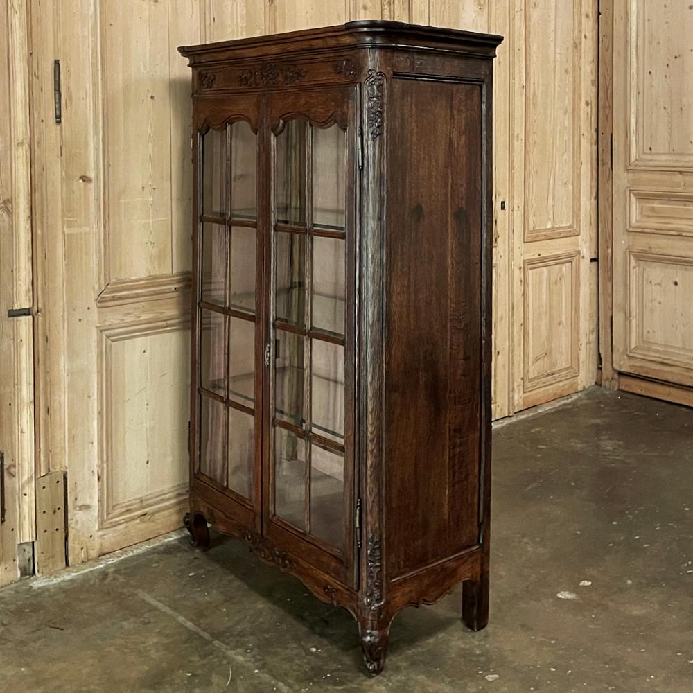 Hand-Carved 19th Century Country French Vitrine, Bookcase