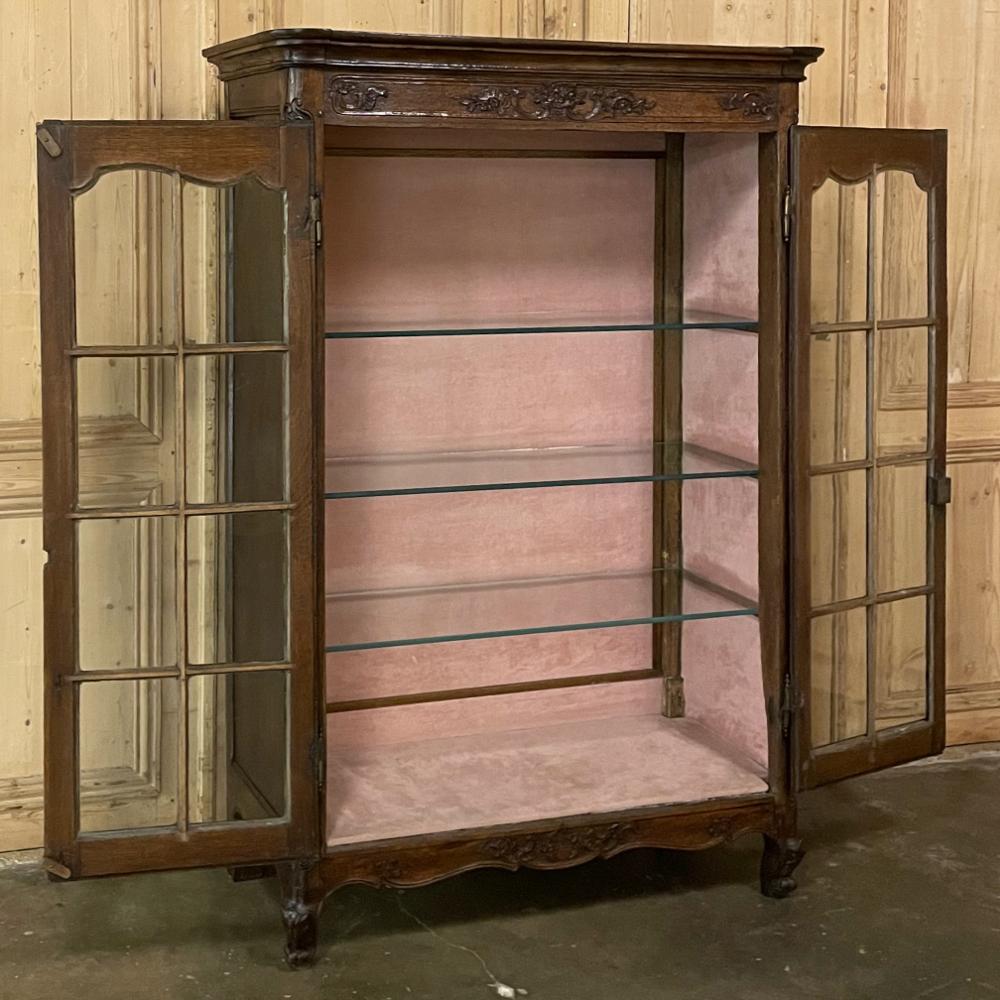 Late 19th Century 19th Century Country French Vitrine, Bookcase
