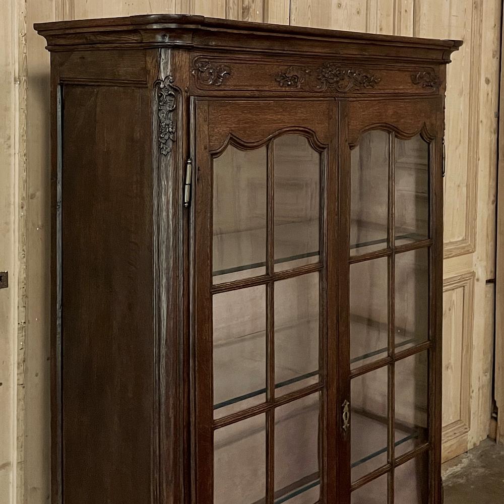 Glass 19th Century Country French Vitrine, Bookcase