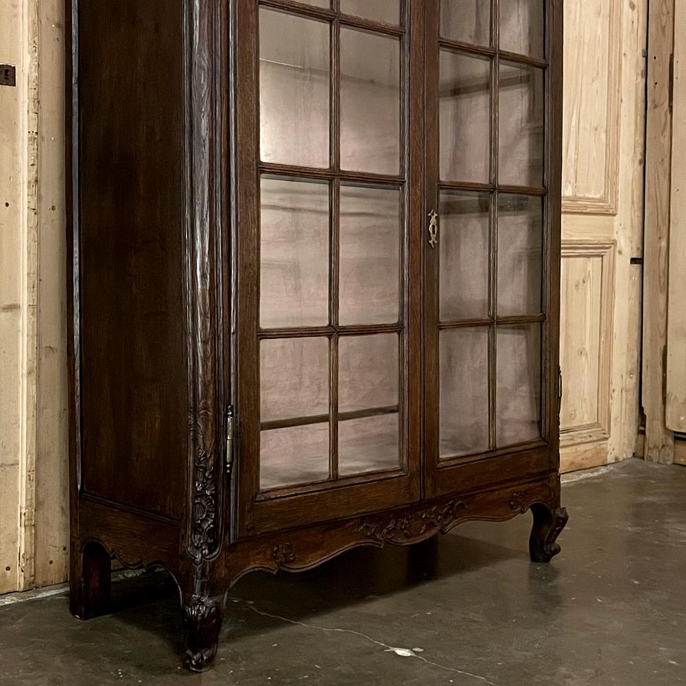 19th Century Country French Vitrine, Bookcase 2