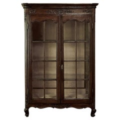 Antique 19th Century Country French Vitrine, Bookcase