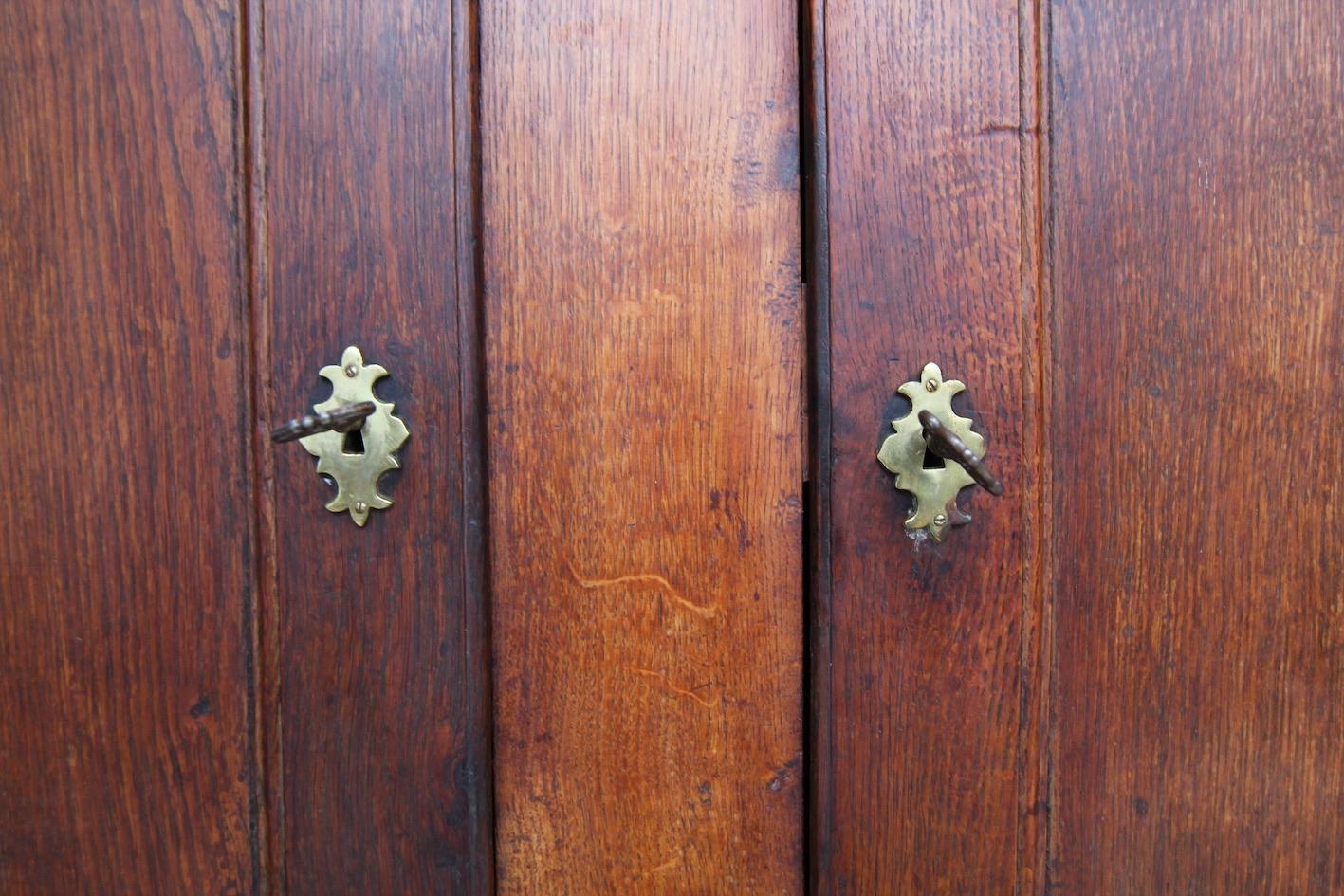 19th Century Country House Pantry Cupboard Made of Oak 5