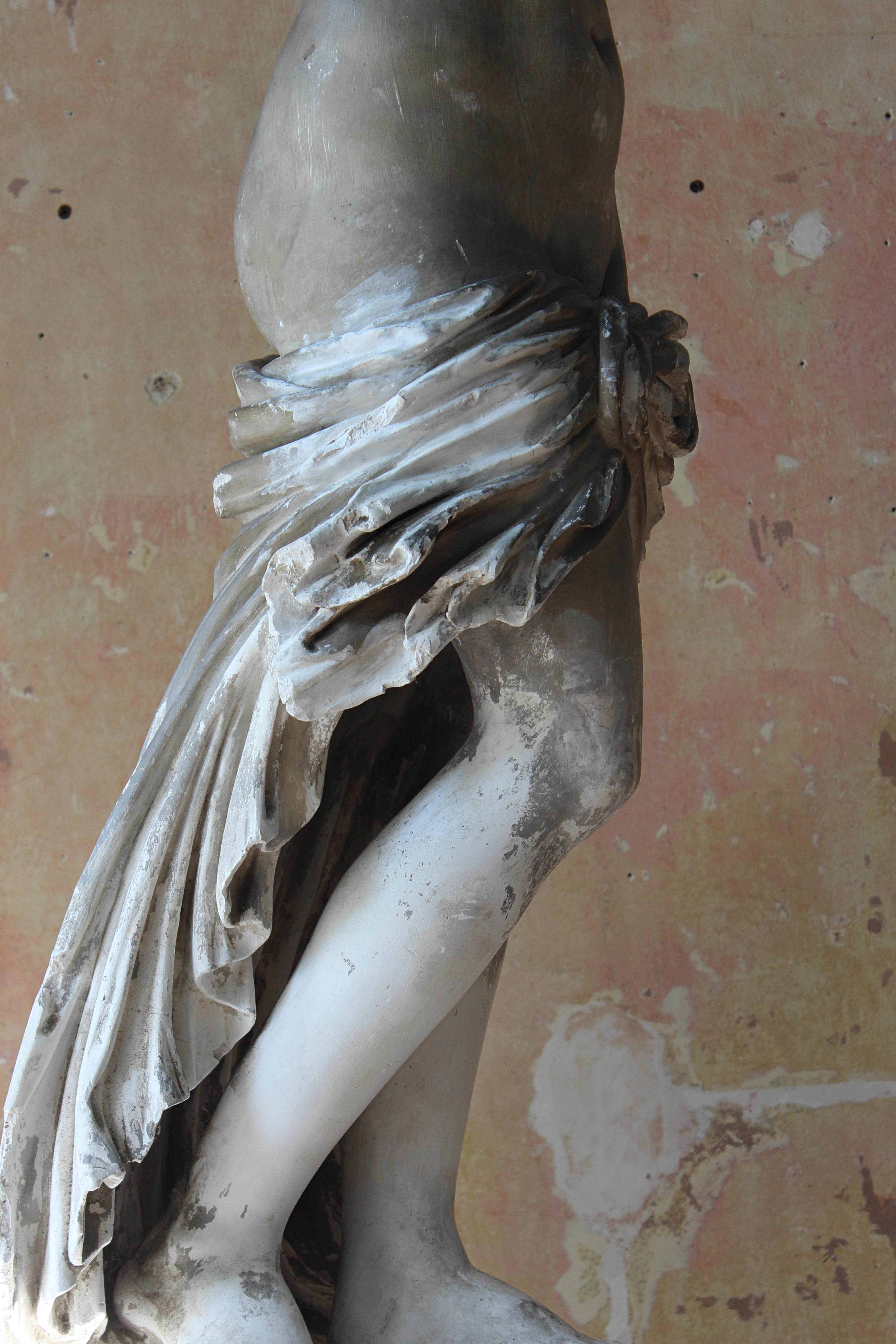 19th Century Country House Plaster Neo Classical Statue of Venus Grand Tour 8