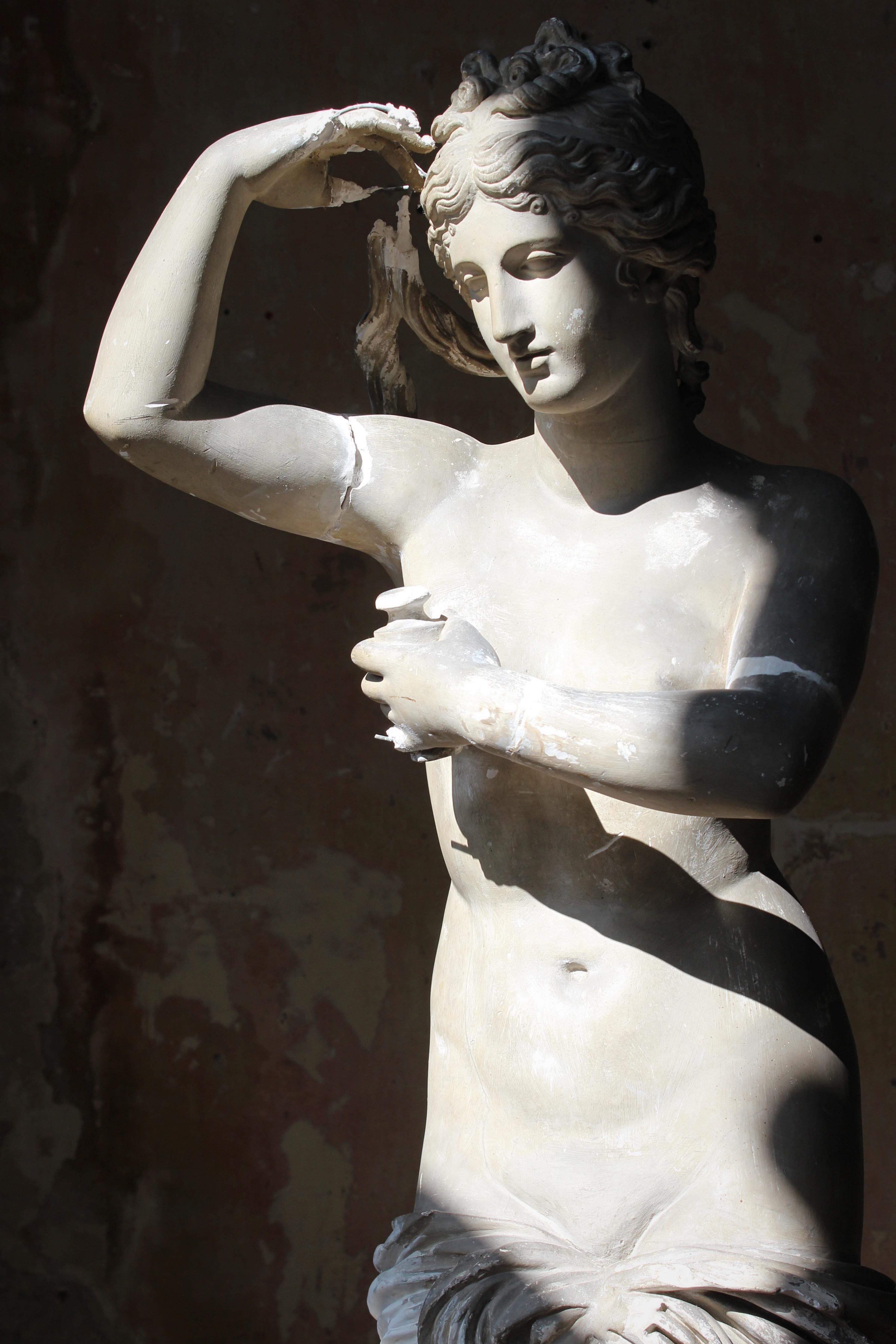 19th Century Country House Plaster Neo Classical Statue of Venus Grand Tour 10