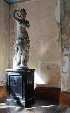 19th Century Country House Plaster Neo Classical Statue of Venus Grand Tour
