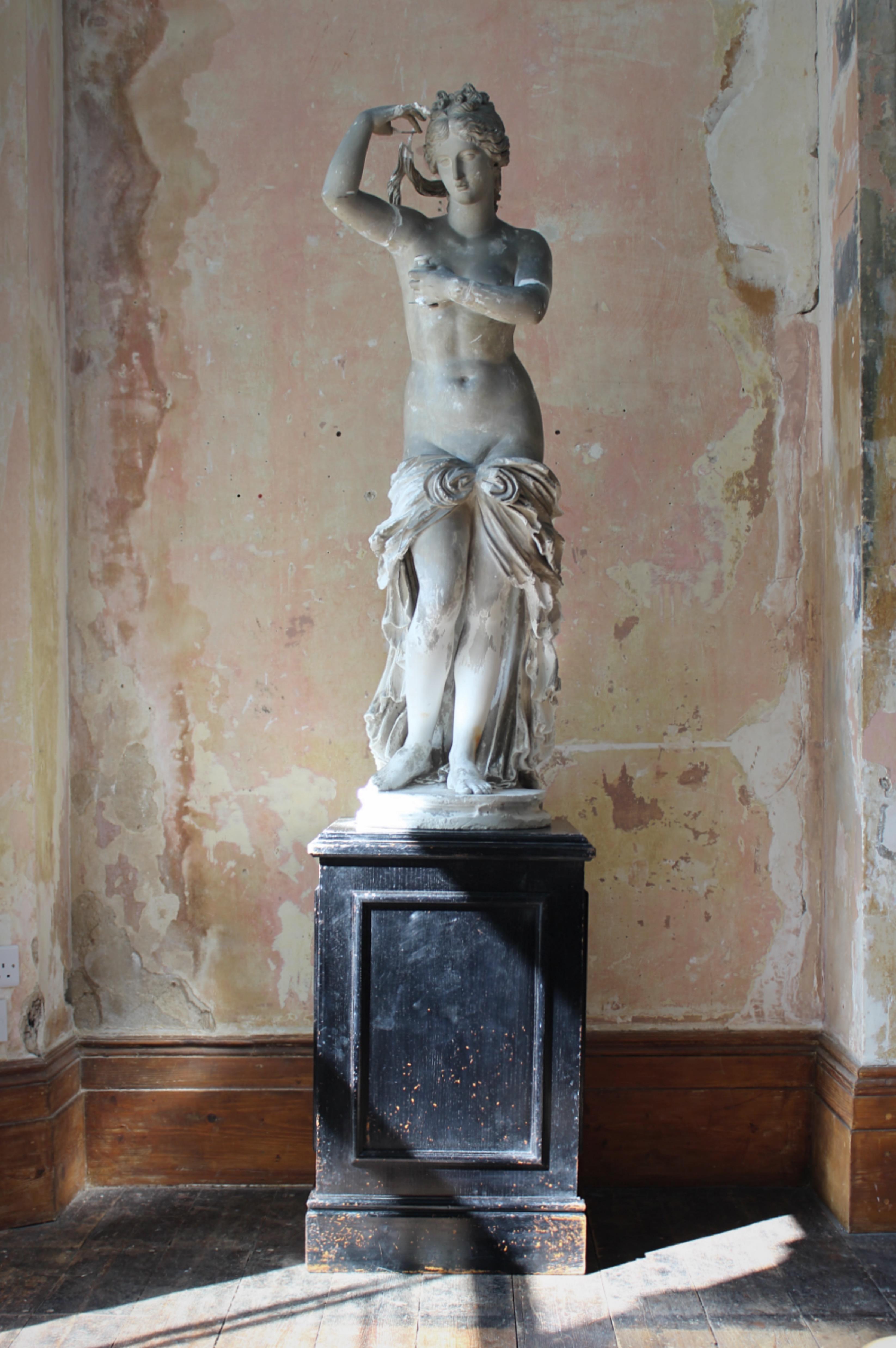 Neoclassical 19th Century Country House Plaster Neo Classical Statue of Venus Grand Tour