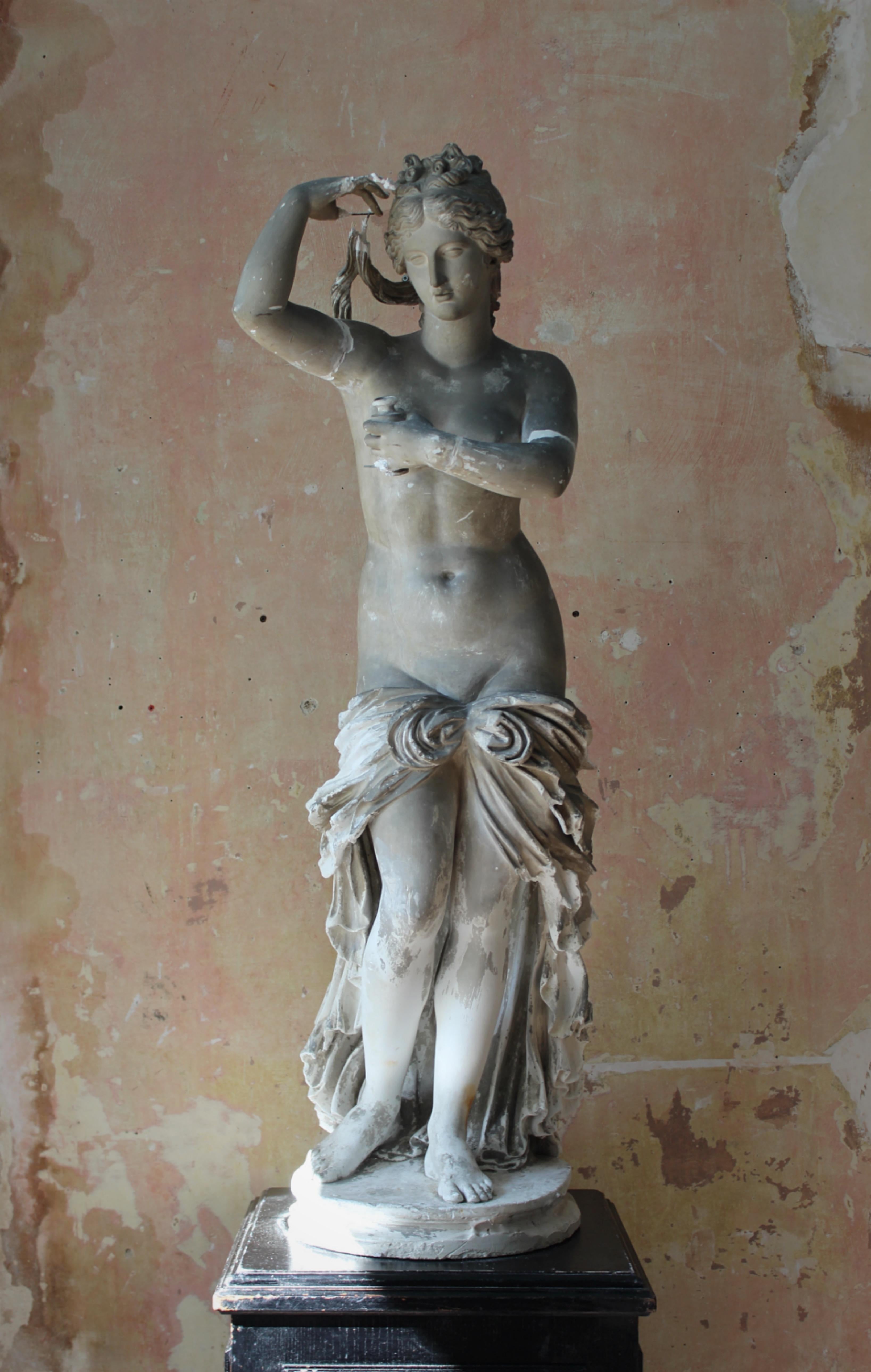 English 19th Century Country House Plaster Neo Classical Statue of Venus Grand Tour