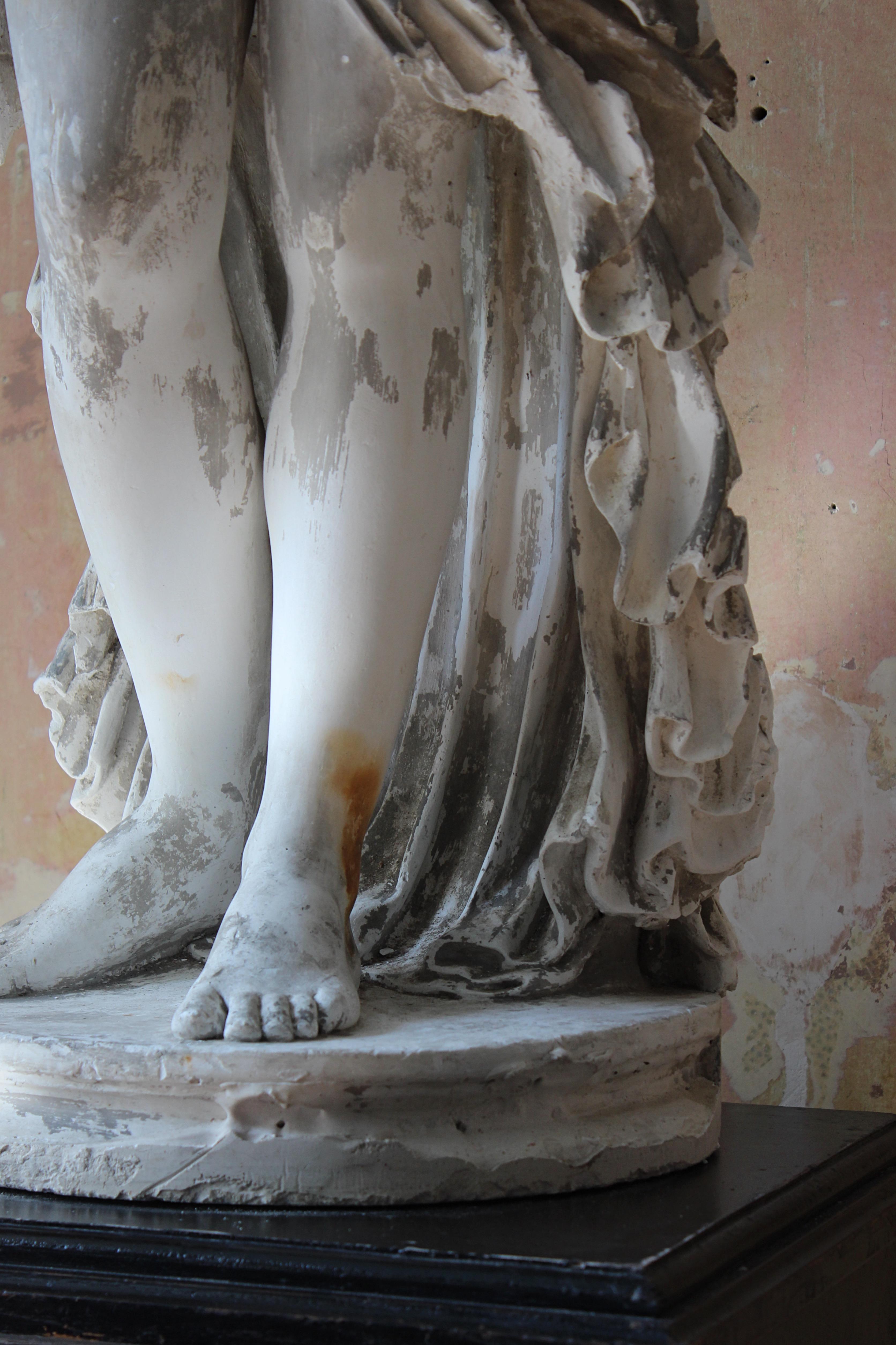 19th Century Country House Plaster Neo Classical Statue of Venus Grand Tour 2