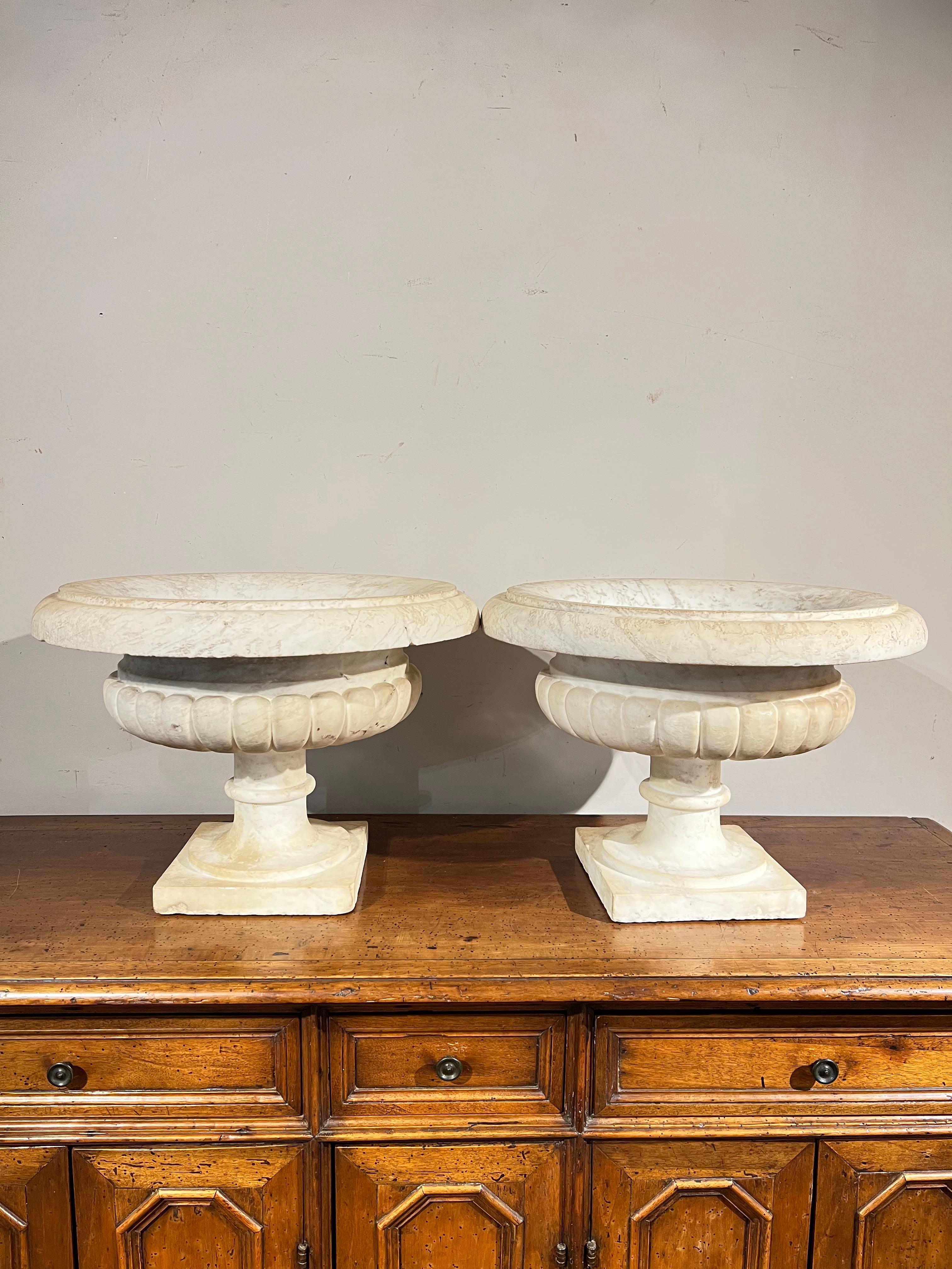 Beautiful pair of Medici-shaped basins in white Carrara marble with ribbed body on raised base.

In the center they have a hole, useful for water drainage when used as plant pots.

MEASUREMENTS: h cm 36, diameter cm 50, base cm 21.5x21.5.