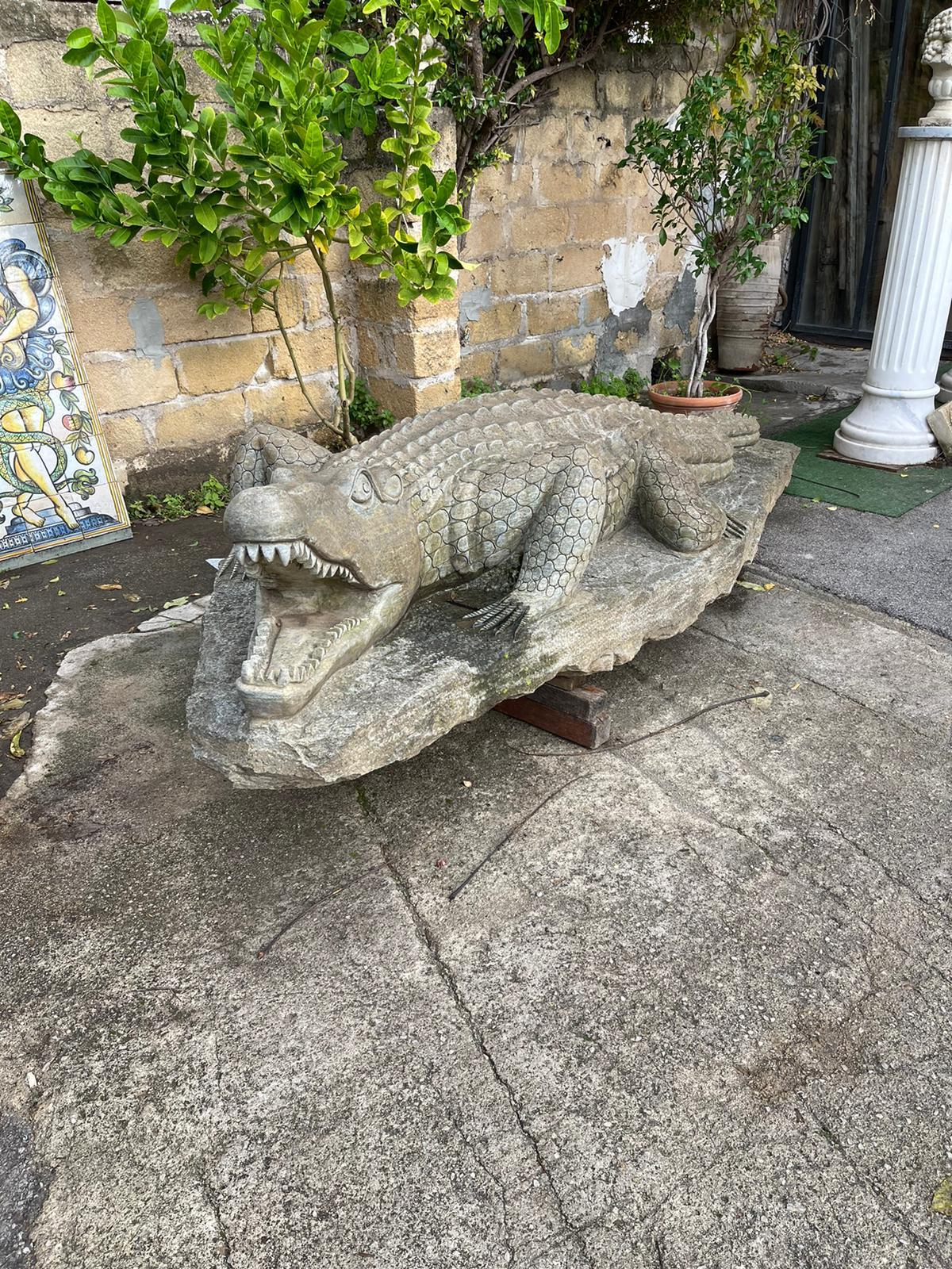 crocodile in garden