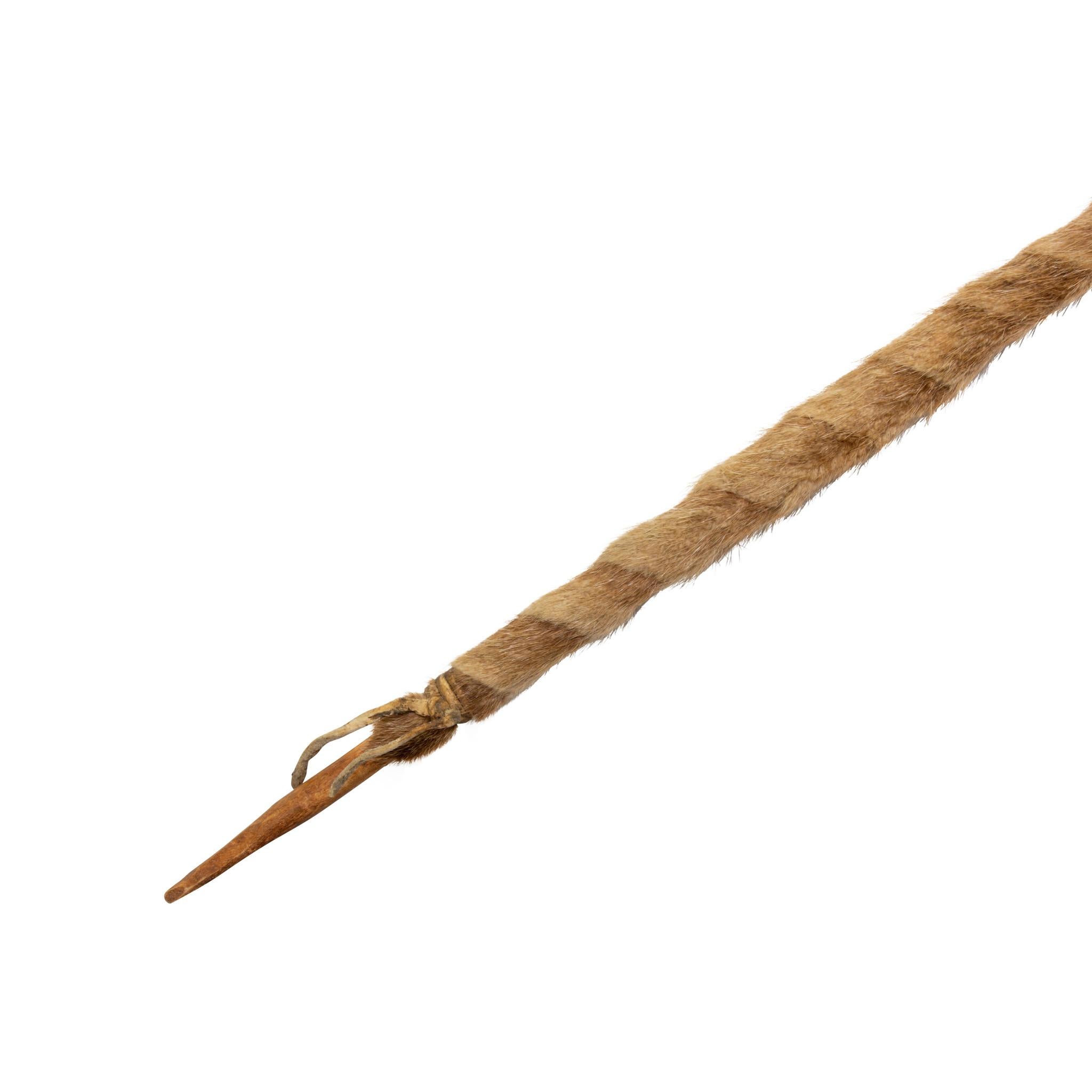 Le bâton de la Société des corbeaux, le bâton de coup, appartenait au chef Face Pretty. Société du bois en morceaux. Baguette en bois enveloppée dans une peau de loutre d'origine. Les plumes d'origine ont été remplacées par des plumes de dinde