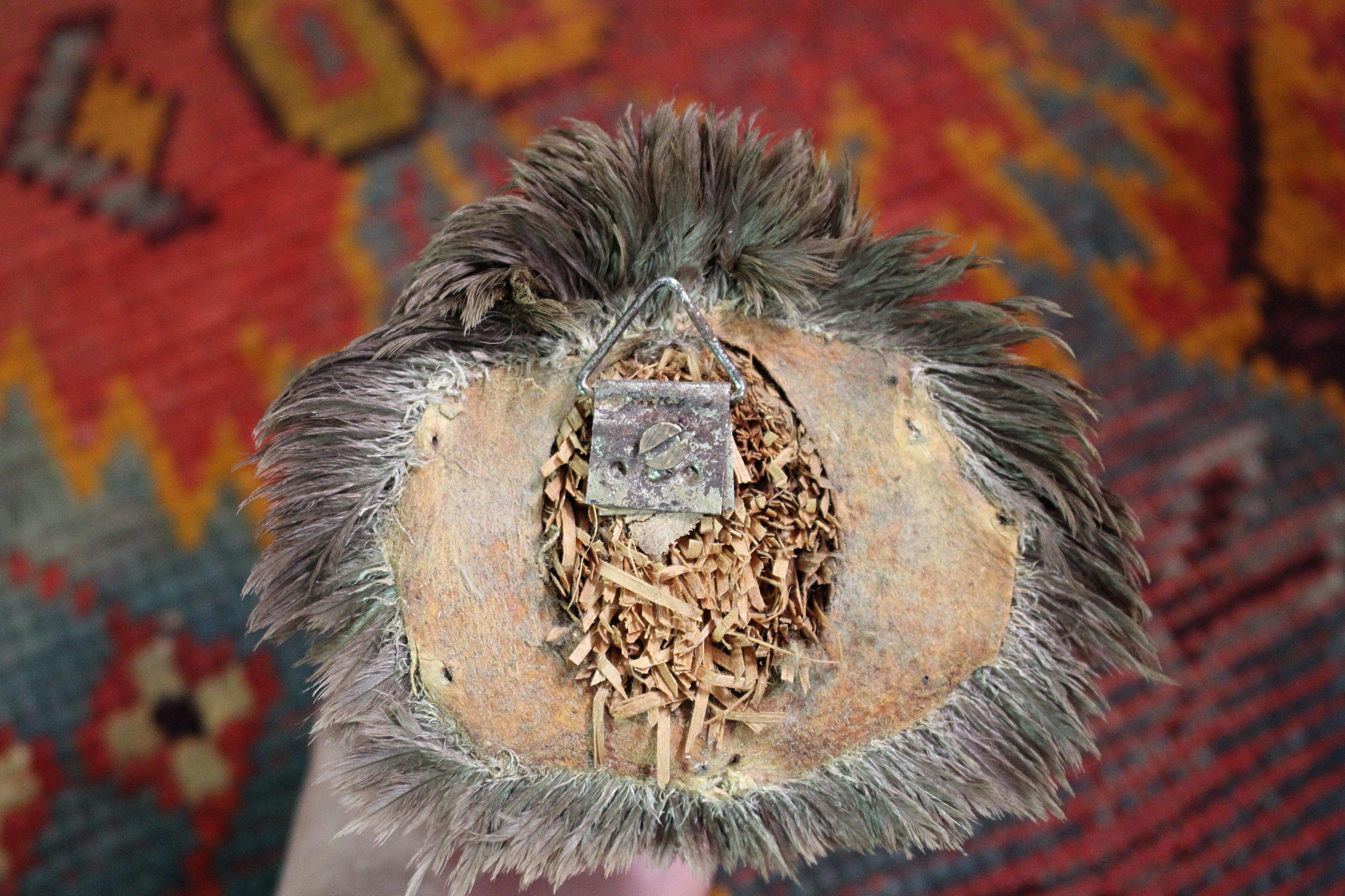 19th Century Curios Taxidermy Head Mount English Adult Goose For Sale 8