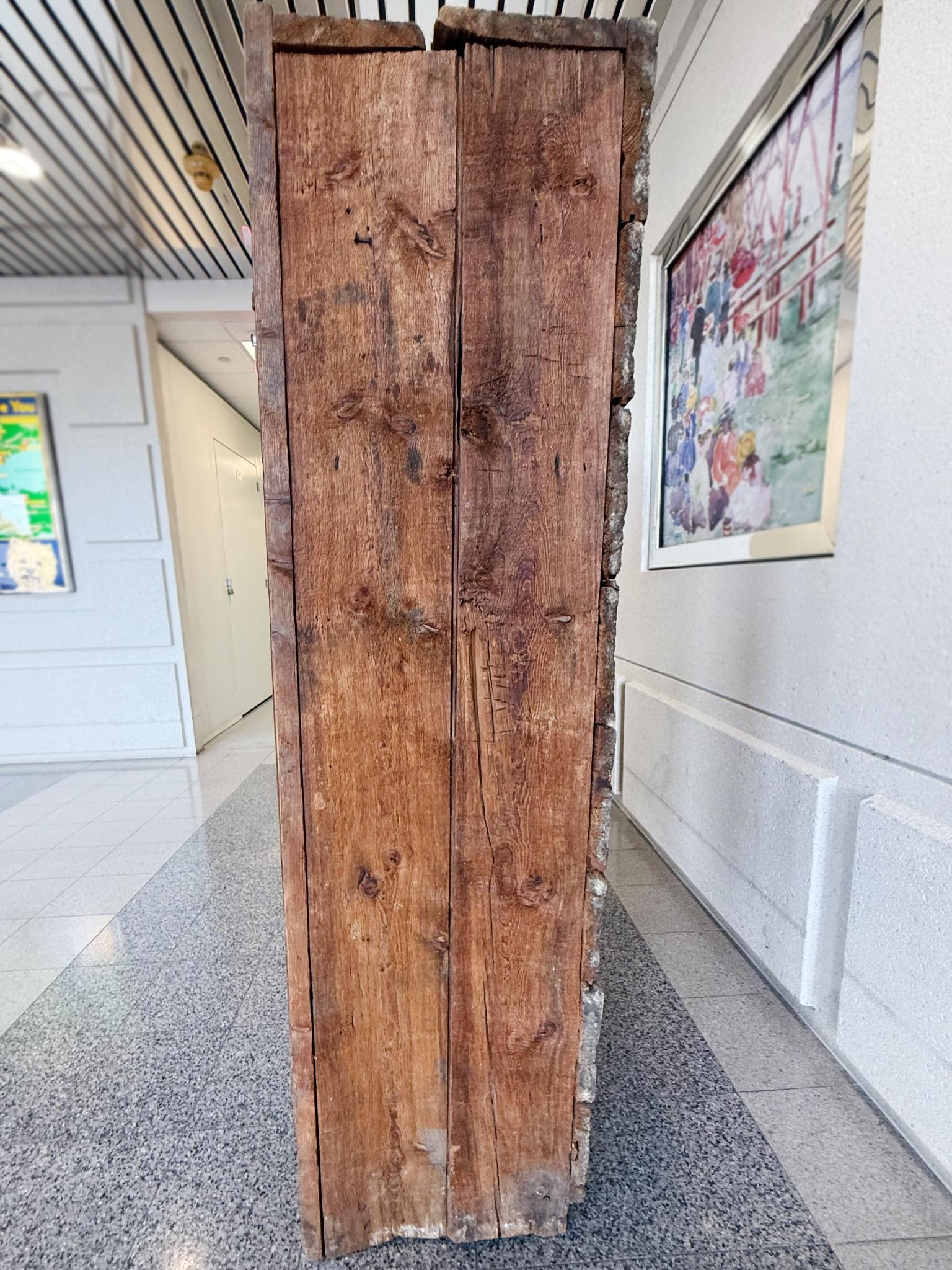 Armario danés de olmo del siglo XIX en venta 10