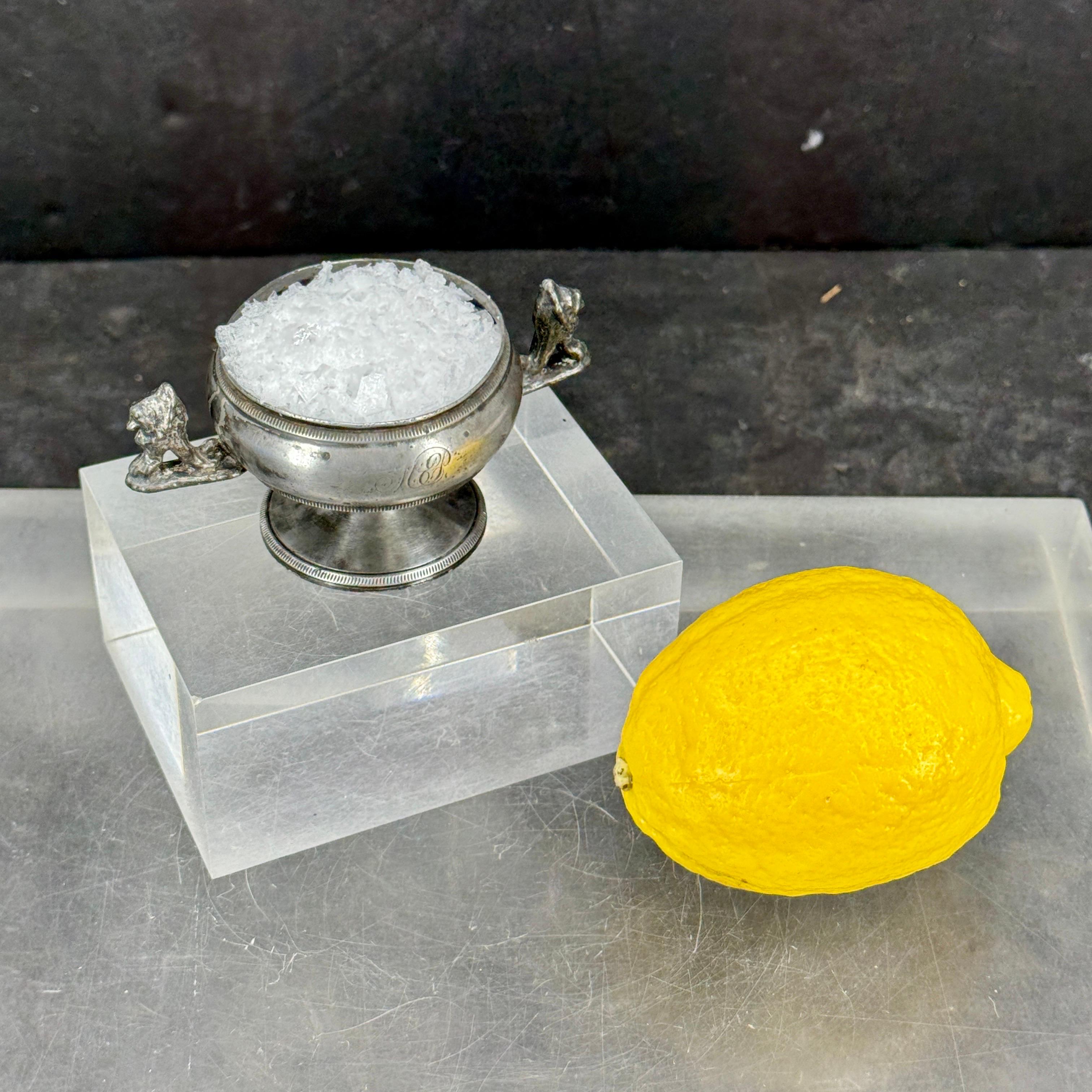 Metallo Vaso per sale e pepe in peltro dell'Impero danese del XIX secolo in vendita