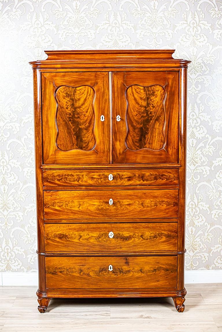 Biedermeier 19th Century Danish Walnut Cabinet For Sale