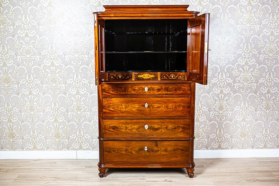 Veneer 19th Century Danish Walnut Cabinet For Sale