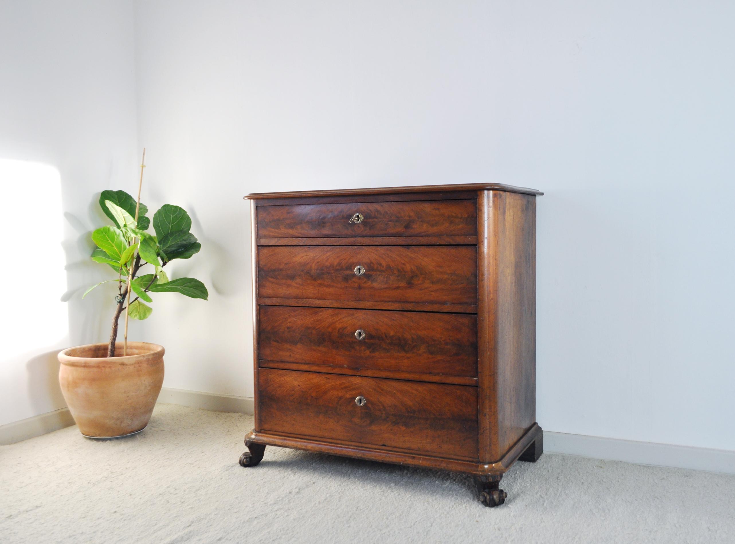 Neoclassical 19th Century Danish Walnut Commode or Chest of Drawers Featuring Lions Paw Feet