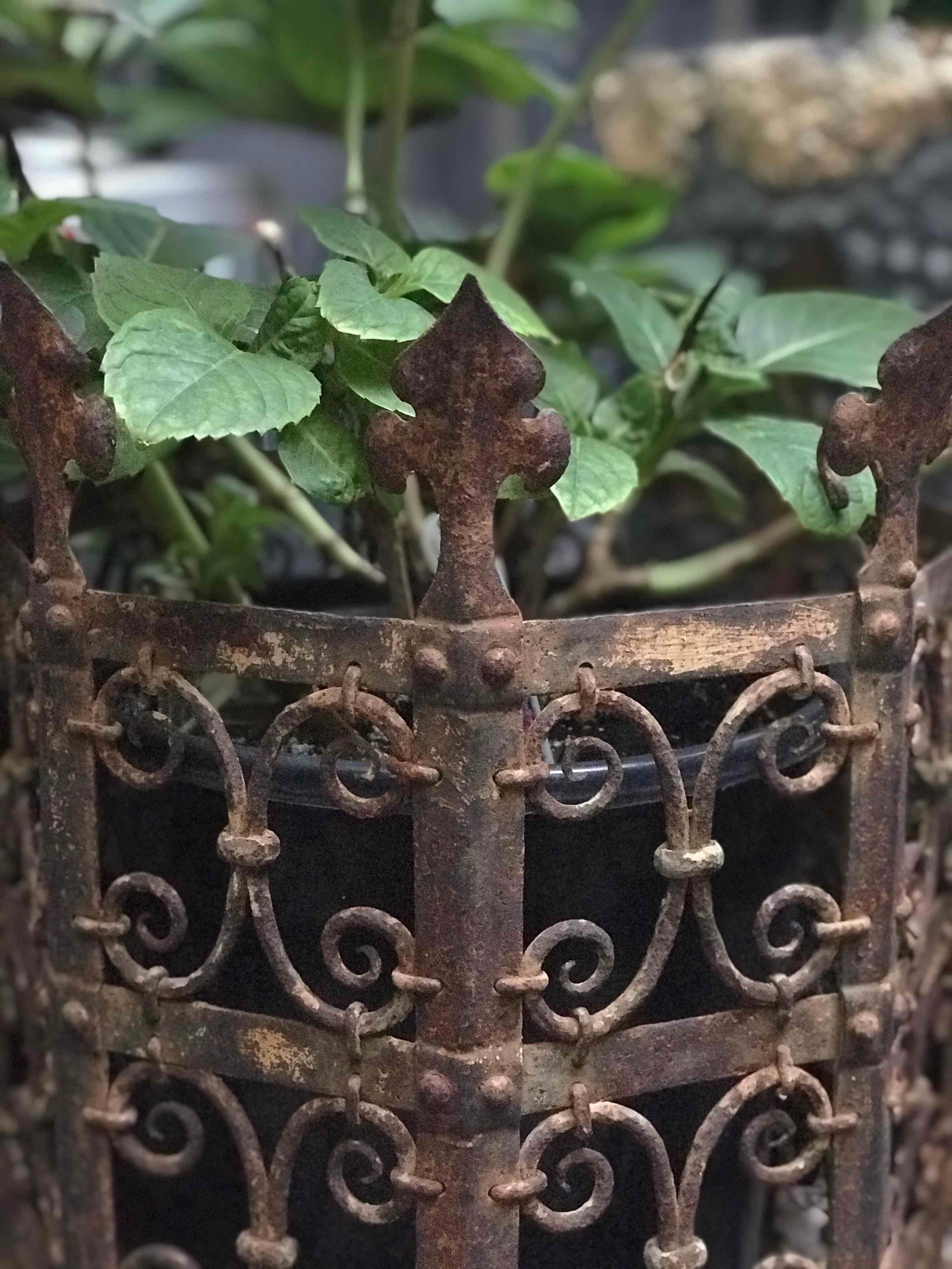 Victorian 19th Century Decorative Iron Jardinière from France 