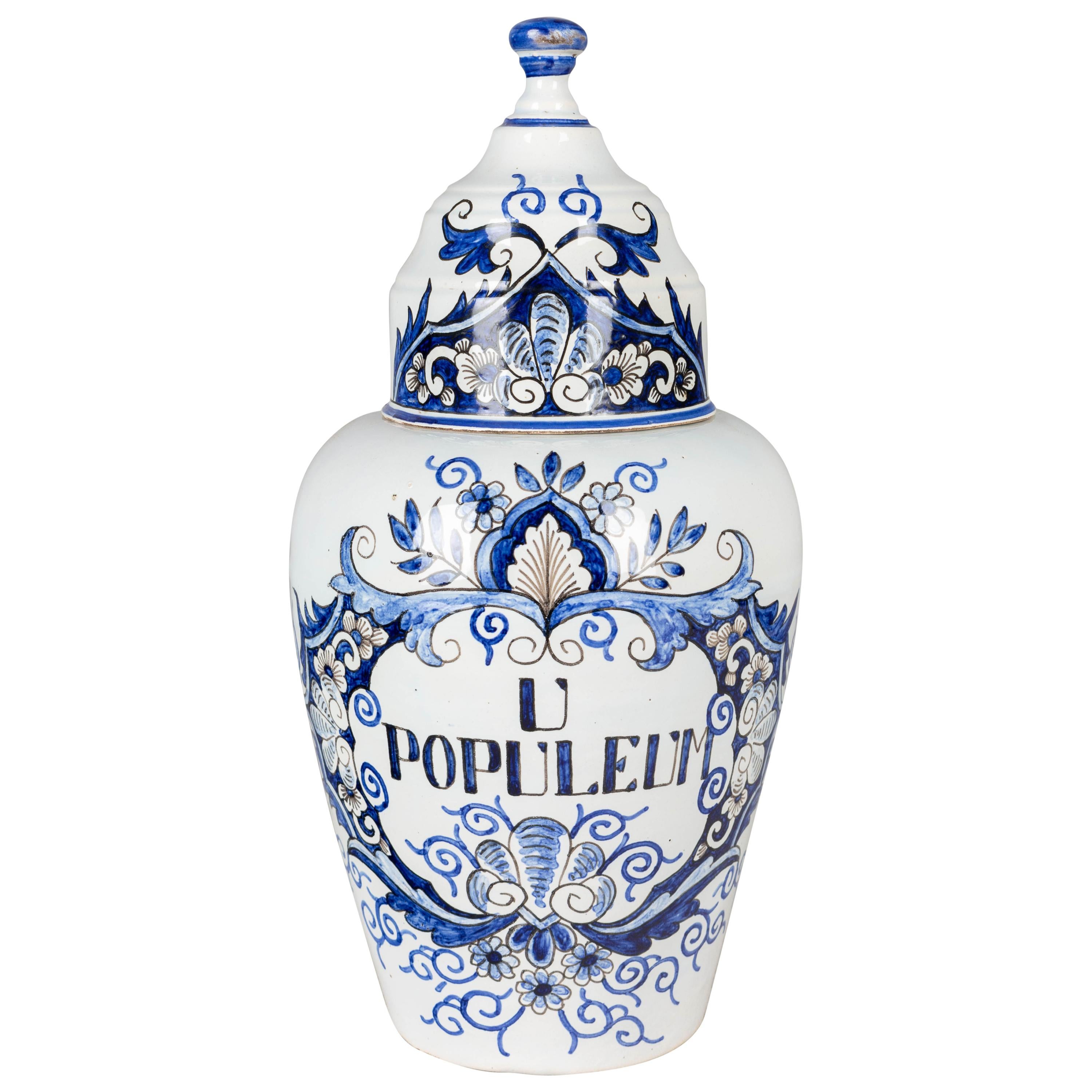 19th Century Delft Faience Apothecary Jar For Sale