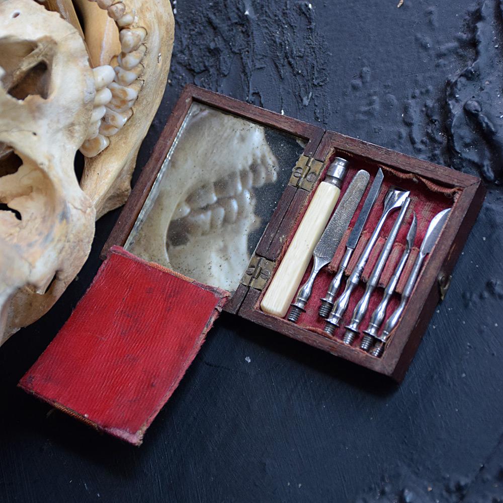 Kit d'outils dentaires du XIXe siècle en vente 5