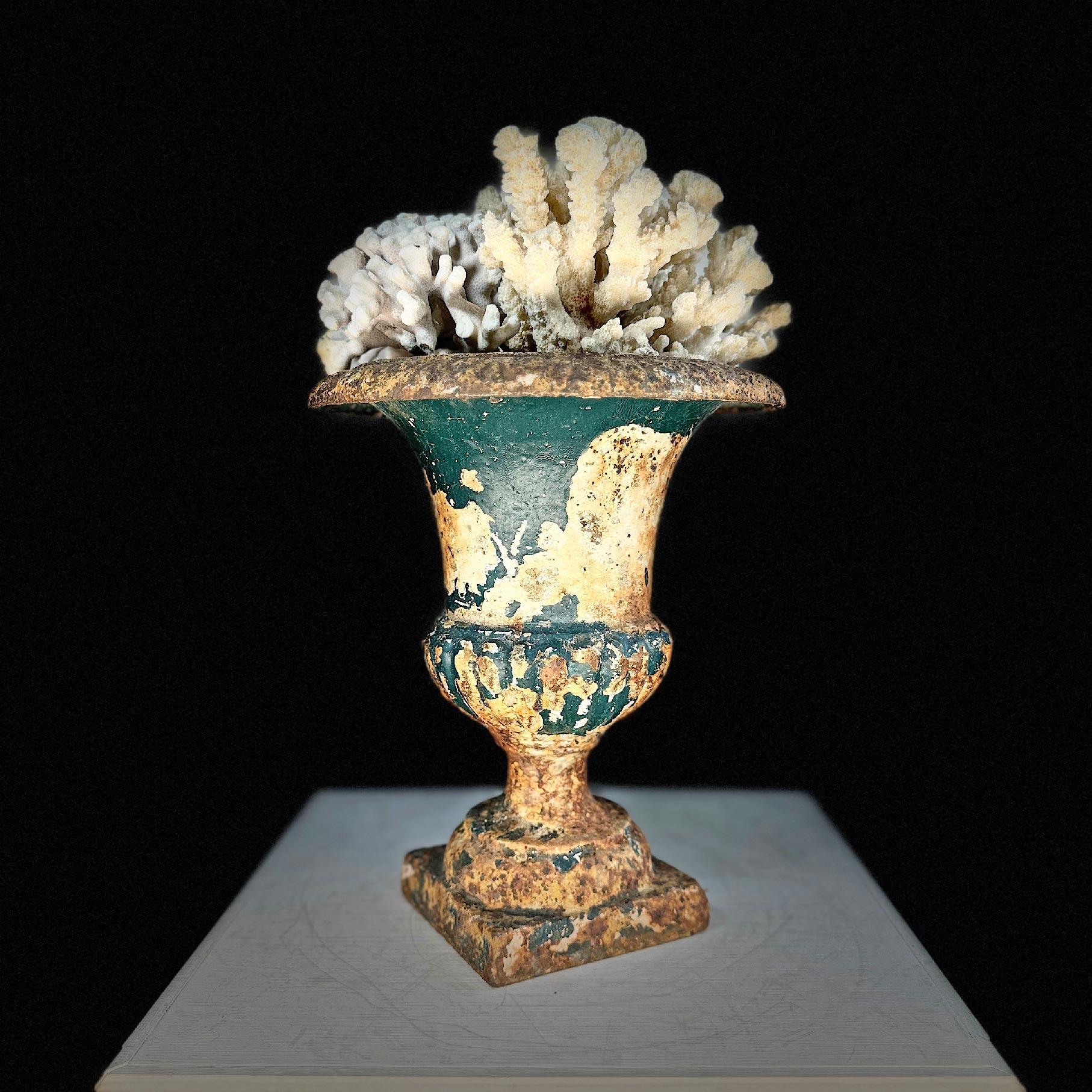Regency Urne Médicis Diminutive en Fonte Française du 19ème siècle Teal en vente