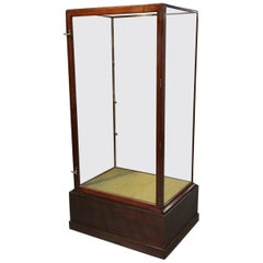 19th Century Display Cabinet 19th Century Display Cabinet