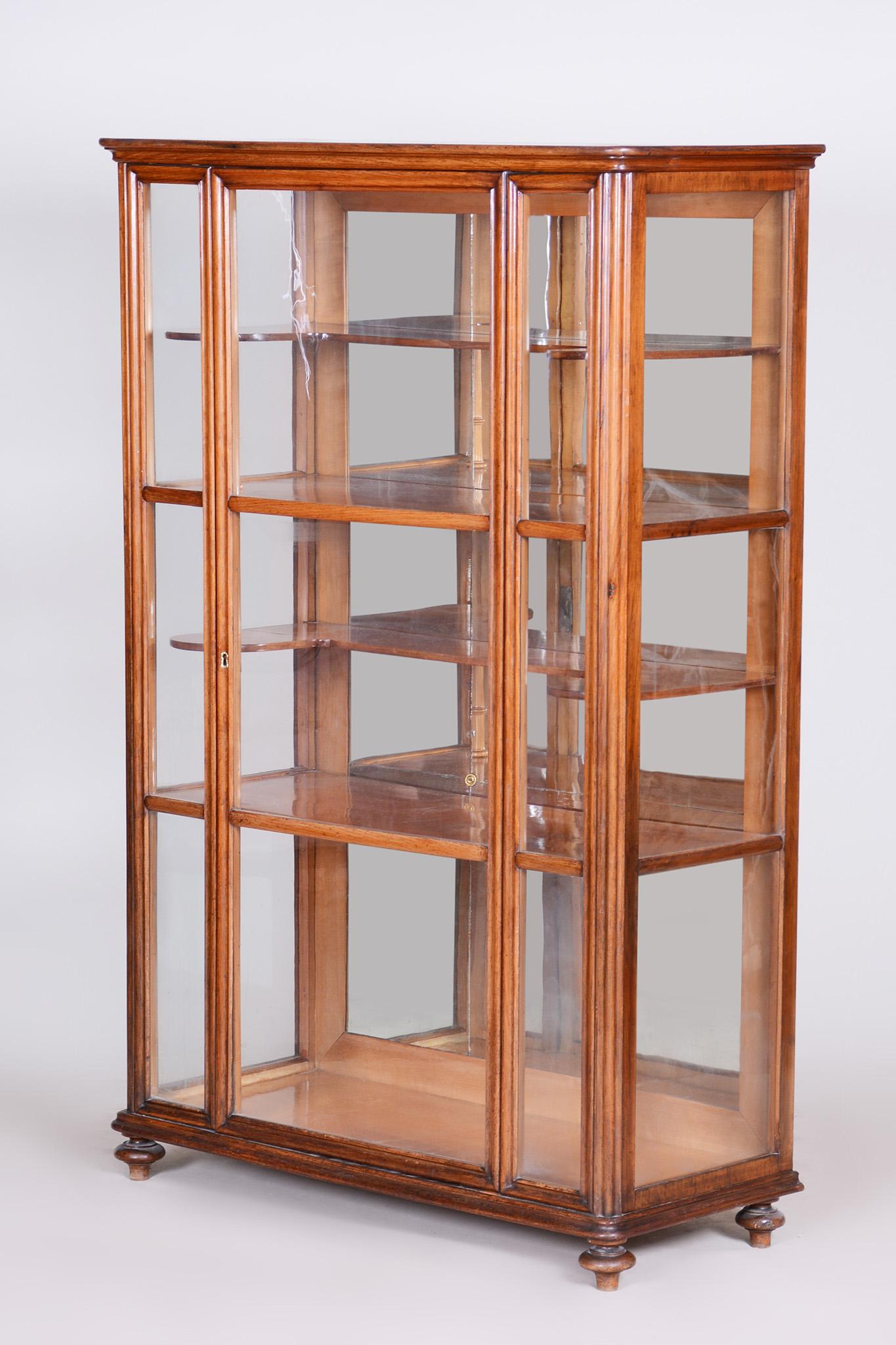 19th Century Display Cabinet Made in Bohemia, Fully Restored Walnut and Glass For Sale 4