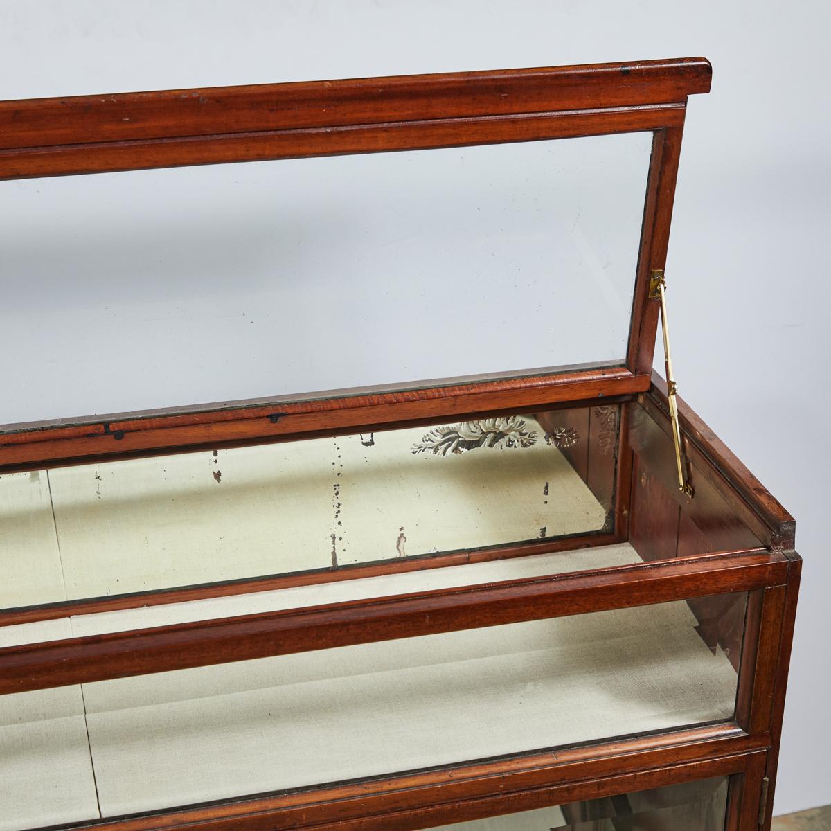 British 19th Century Display Case in Mahogany