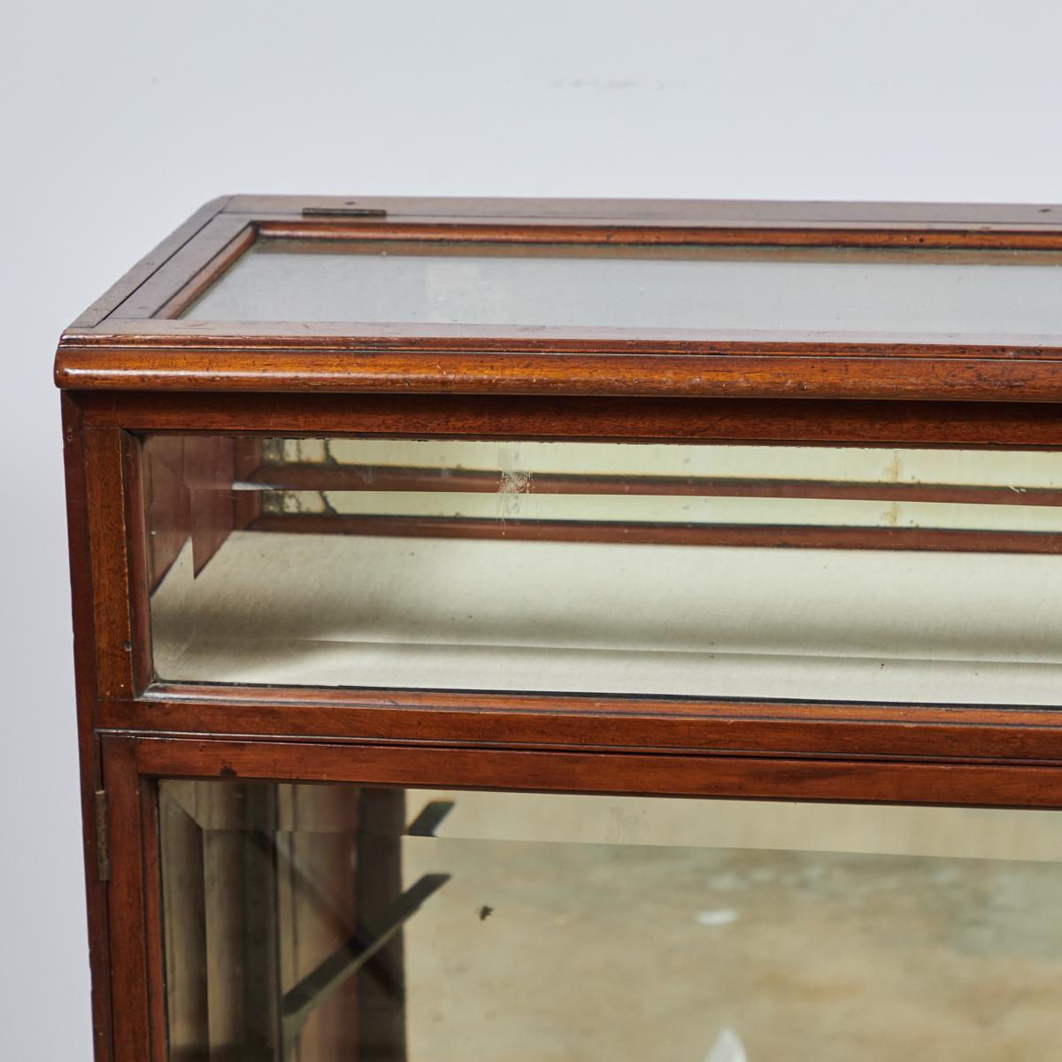 Late 19th Century 19th Century Display Case in Mahogany