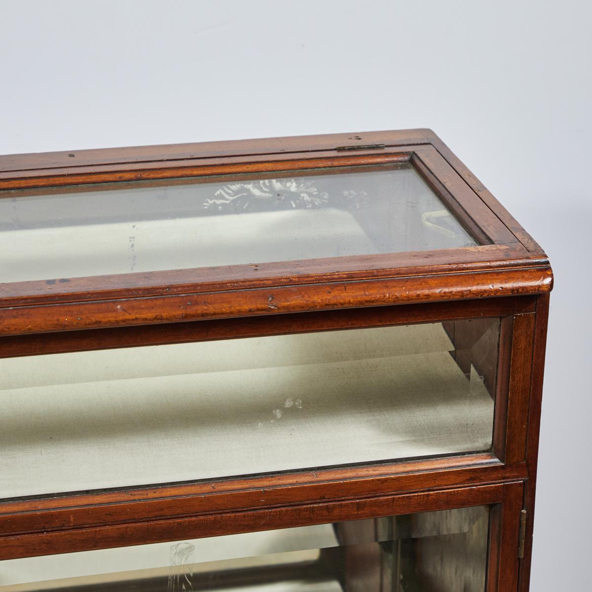 19th Century Display Case in Mahogany 1