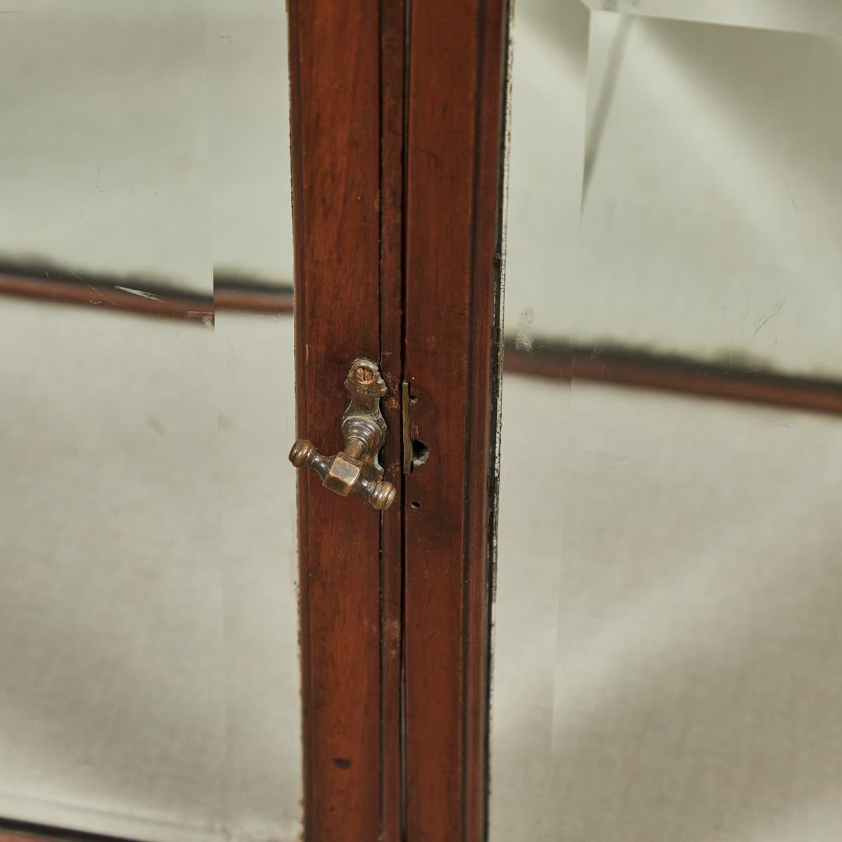19th Century Display Case in Mahogany 2
