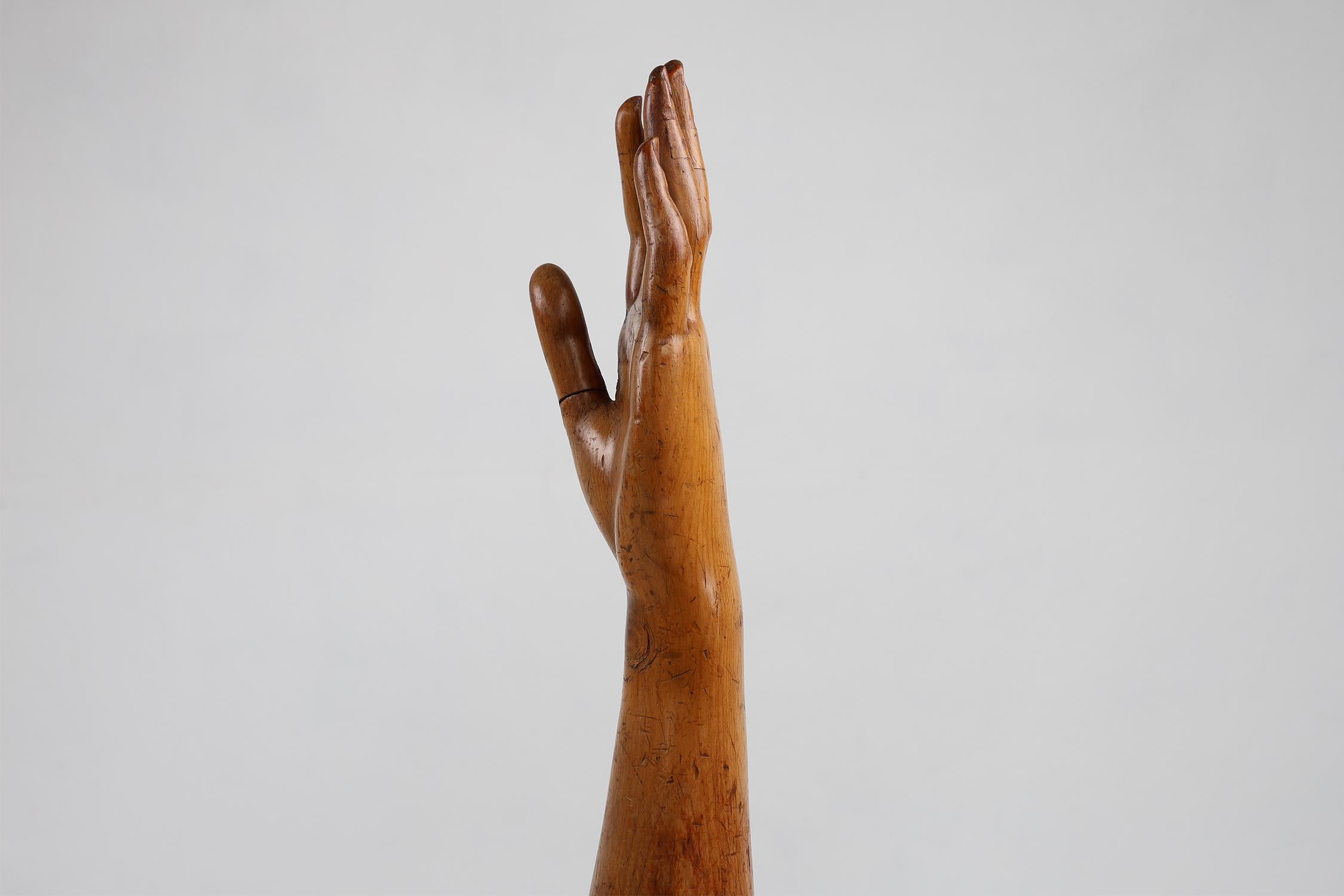 Maniquí de exhibición del siglo XIX hecho a mano en pino, Francia en venta 4