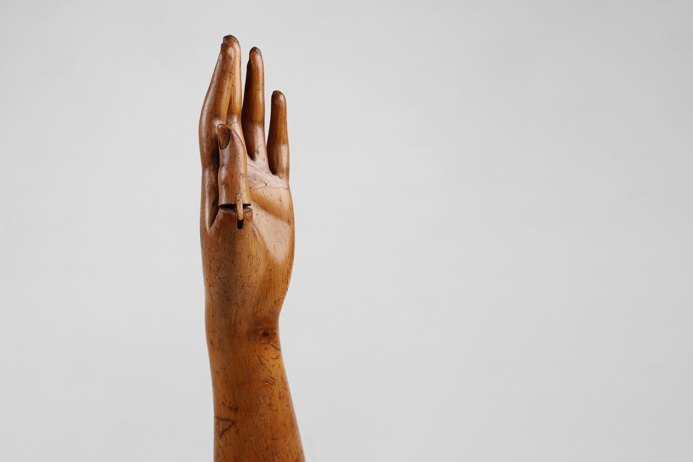 Maniquí de exhibición del siglo XIX hecho a mano en pino, Francia Francés en venta