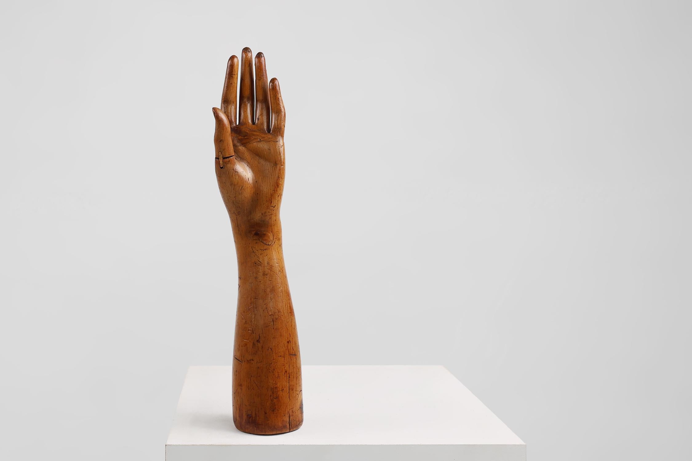 Maniquí de exhibición del siglo XIX hecho a mano en pino, Francia Pino en venta