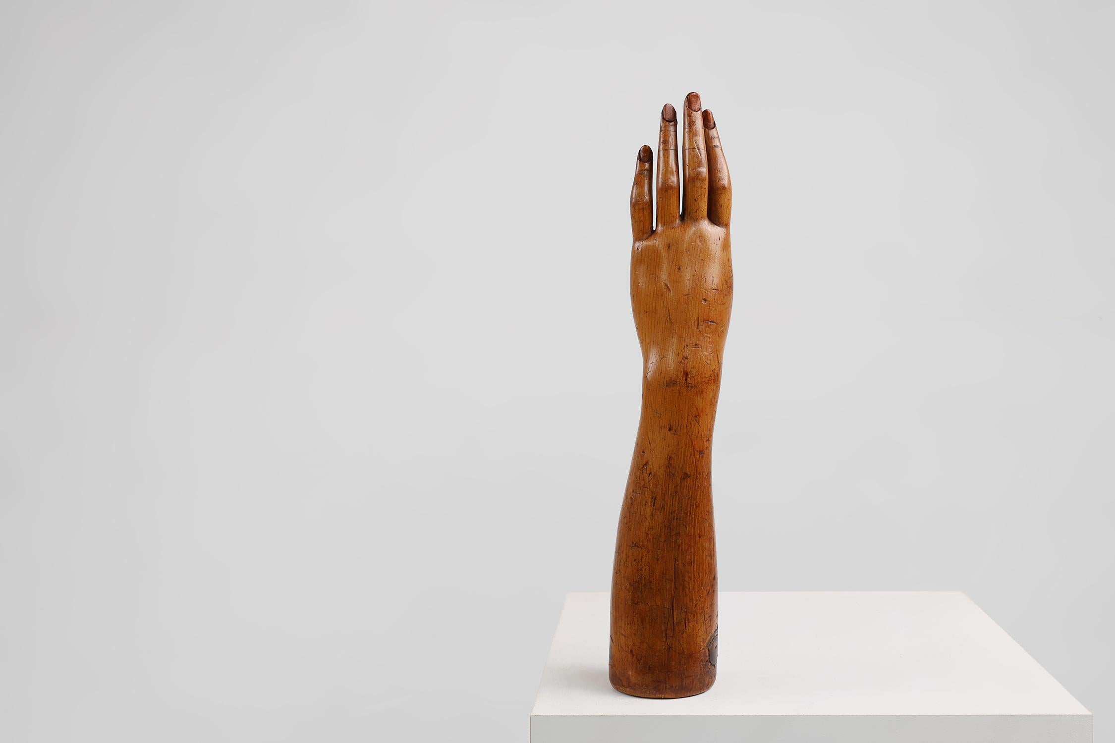 Maniquí de exhibición del siglo XIX hecho a mano en pino, Francia en venta 2