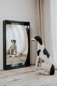 19th Century Distortion Mirror