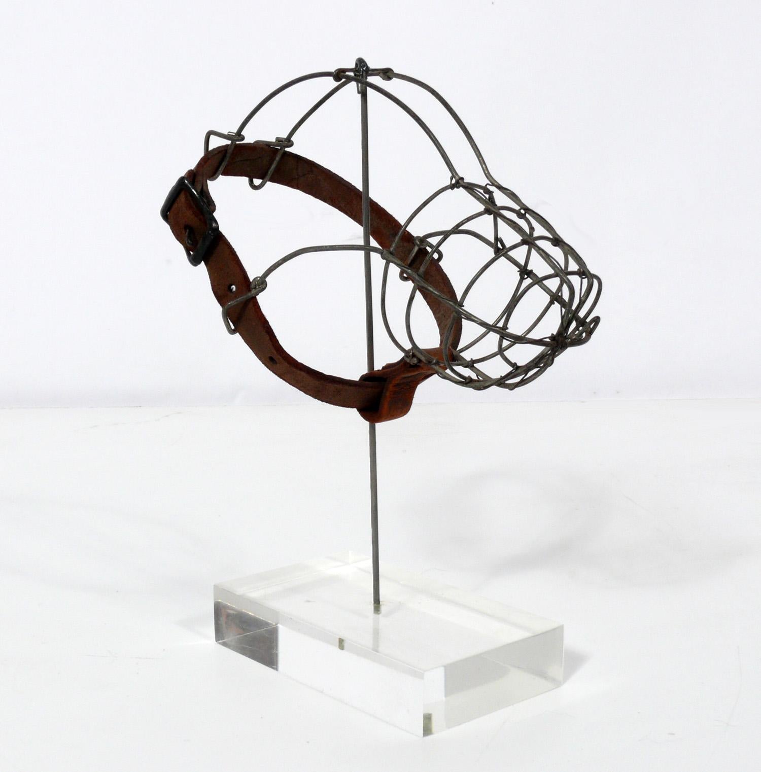 Sculture di museruole per cani del XIX secolo su basi di lucite in vendita 2