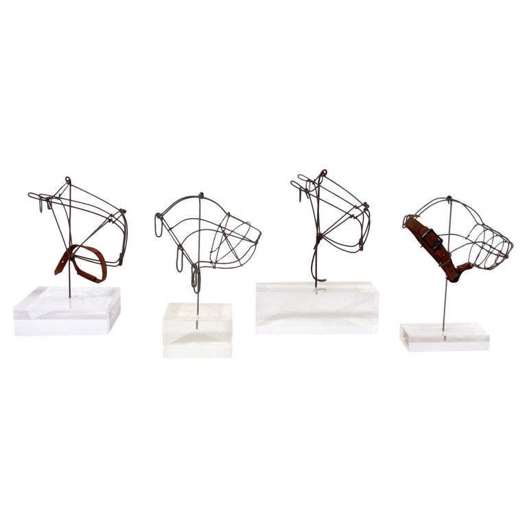 19th Century Dog Muzzle Sculptures on Lucite Bases For Sale at 1stDibs