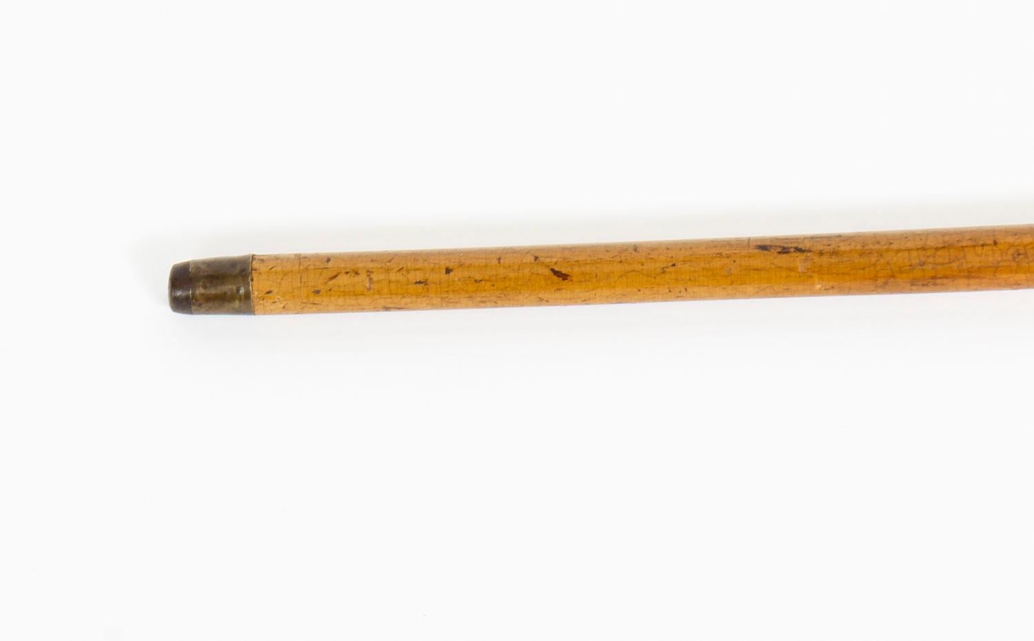 English 19th Century Domed Horn Pommel / Corkscrew Walking Stick Cane For Sale