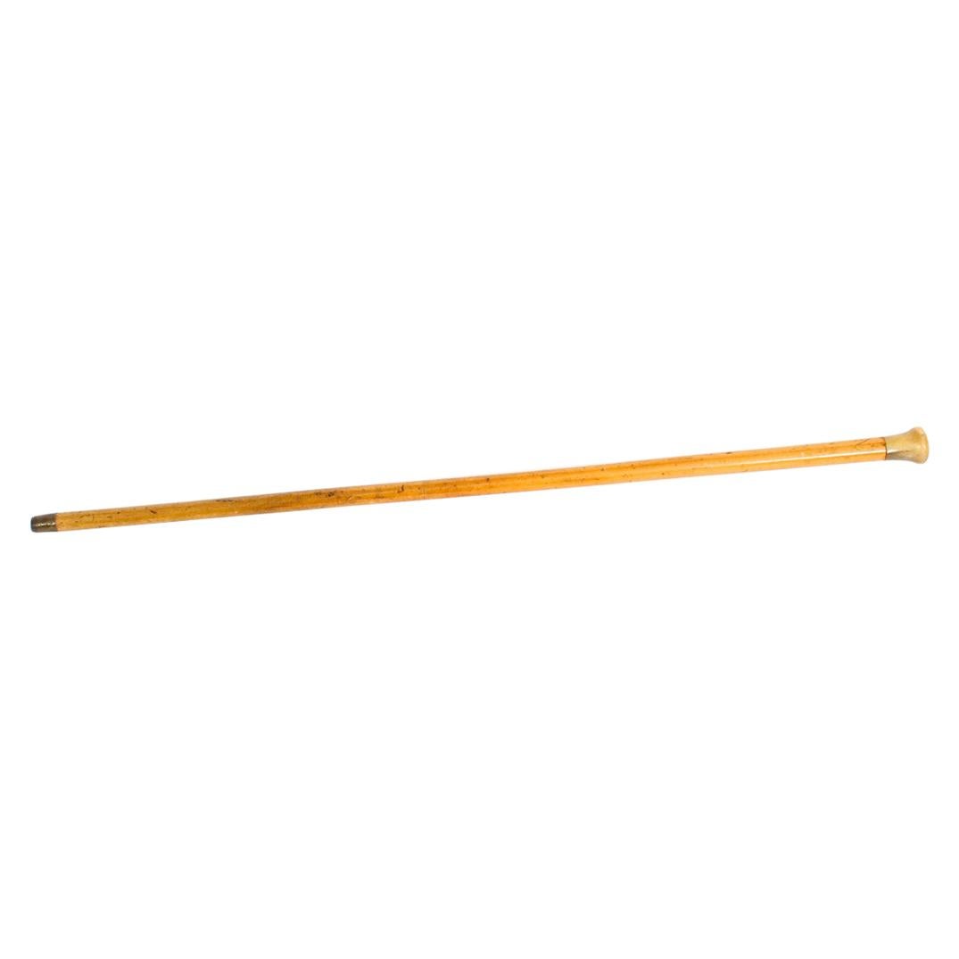 19th Century Domed Horn Pommel / Corkscrew Walking Stick Cane For Sale