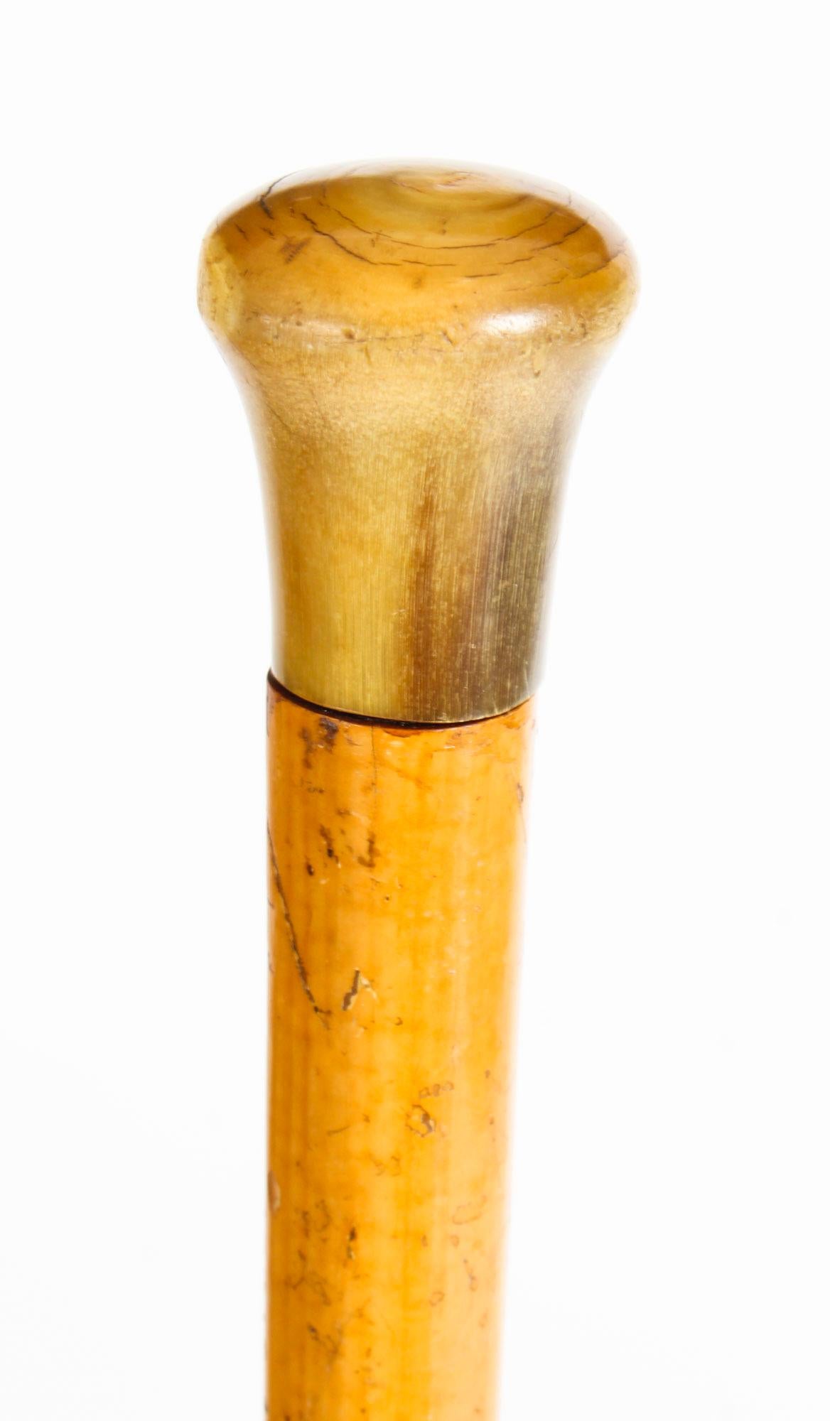 Superbe canne victorienne ancienne en corne à pommeau bombé pour gentleman, datant d'environ 1880.

Le pommeau en corne se dévisse pour révéler un tire-bouchon de voyage, sur une tige conique en bois de Malacca, avec sa virole d'origine en