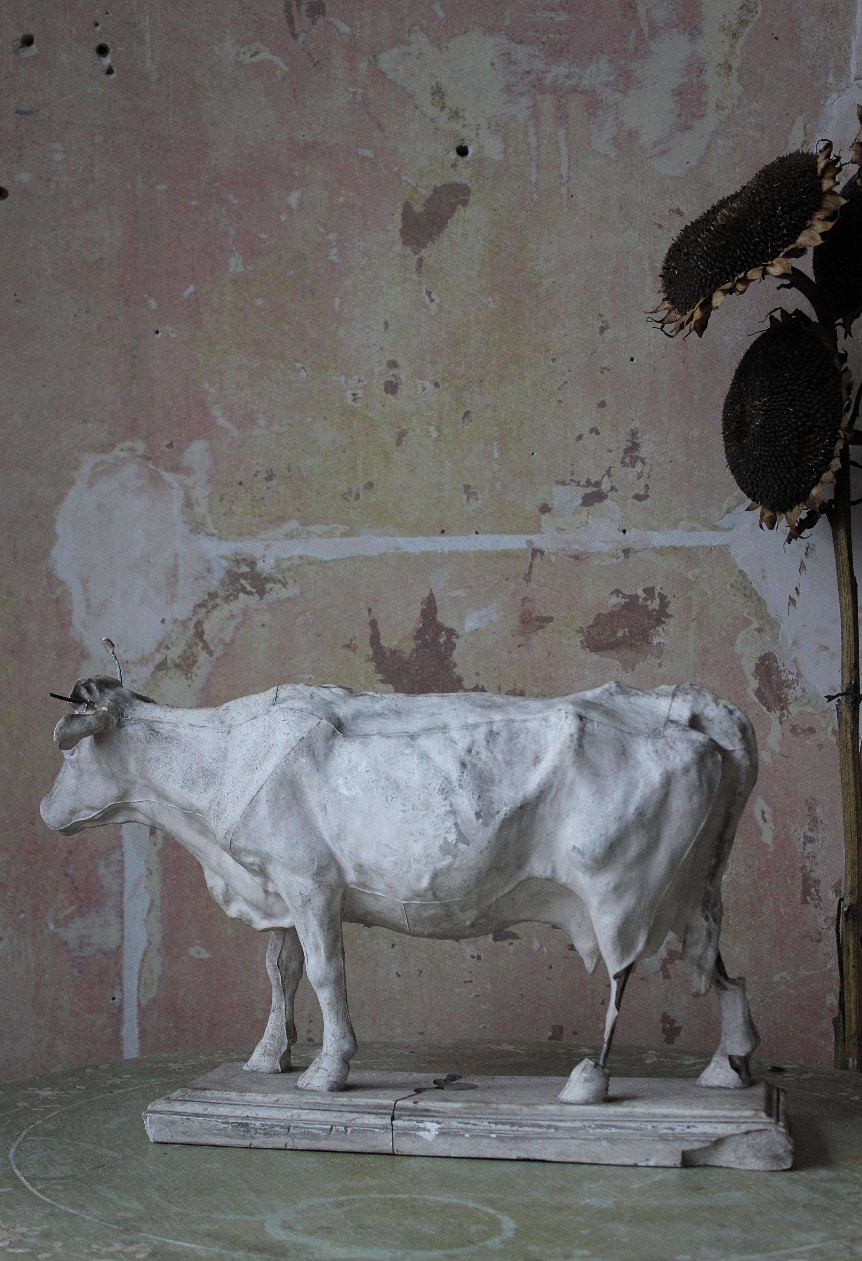 19th Century Dominico Brucciani Plaster Study Bull El Museo Nacional del Prado For Sale 8