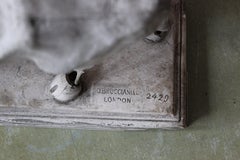 19th Century Dominico Brucciani Plaster Study Bull El Museo Nacional del Prado