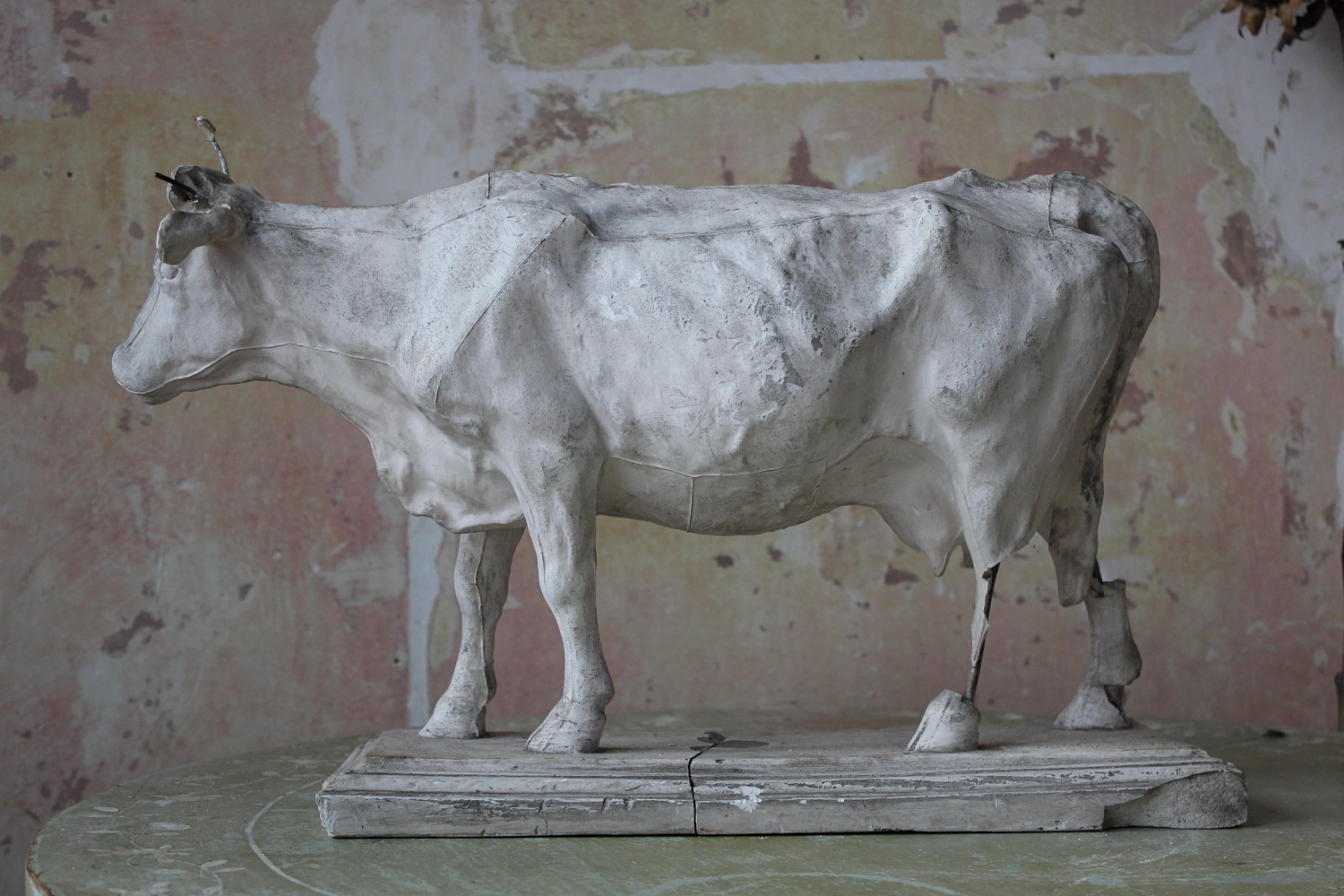 19th Century Dominico Brucciani Plaster Study Bull El Museo Nacional del Prado For Sale 1
