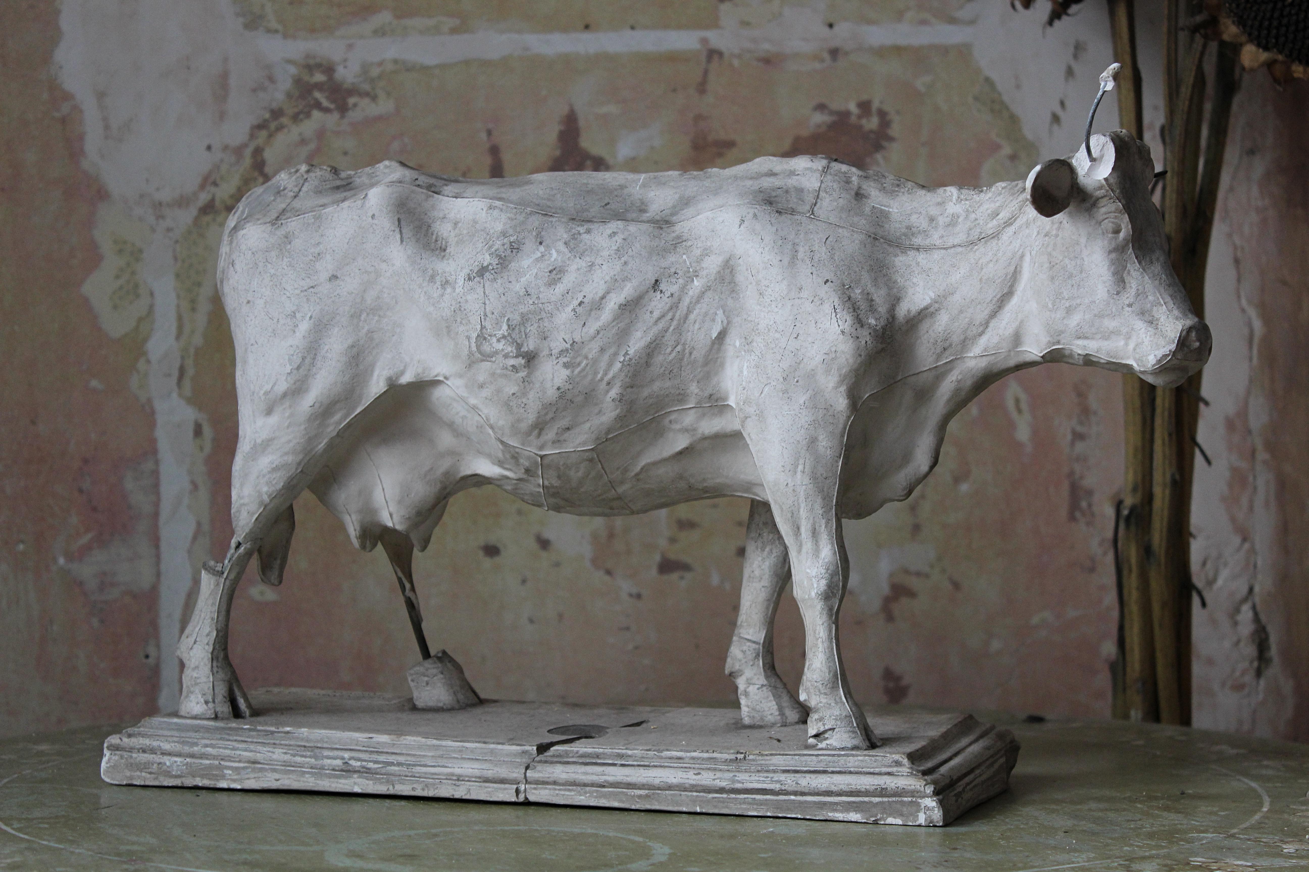 19th Century Dominico Brucciani Plaster Study Bull El Museo Nacional del Prado For Sale 5