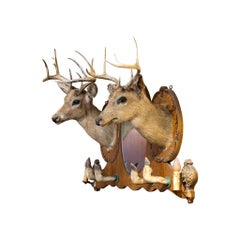 19th Century Double Deer Taxidermy Rack and Mirror