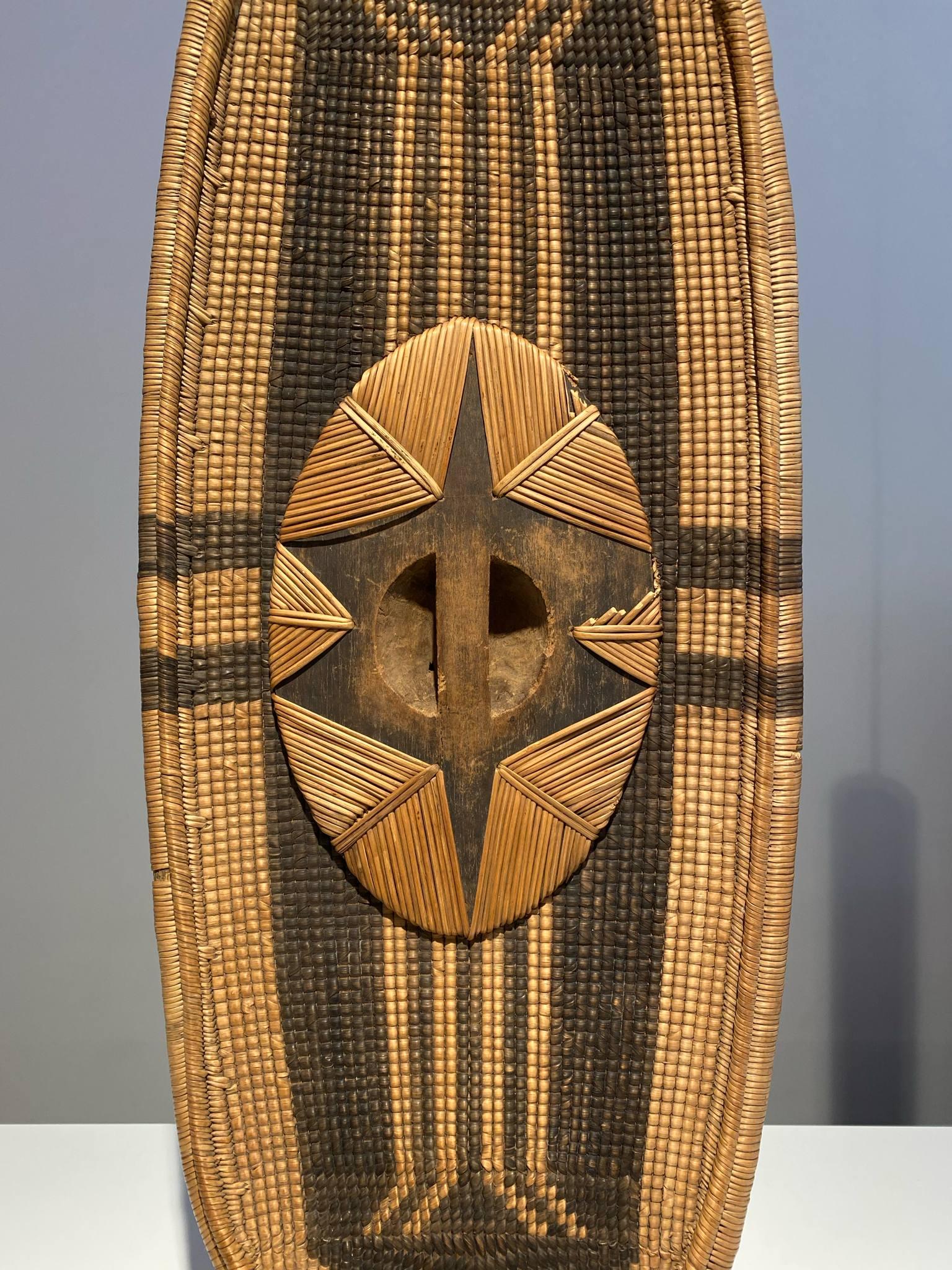 19th century DR CONGO African shield tribe Bandia Zande Djabbir 1880-1900 Art For Sale 5