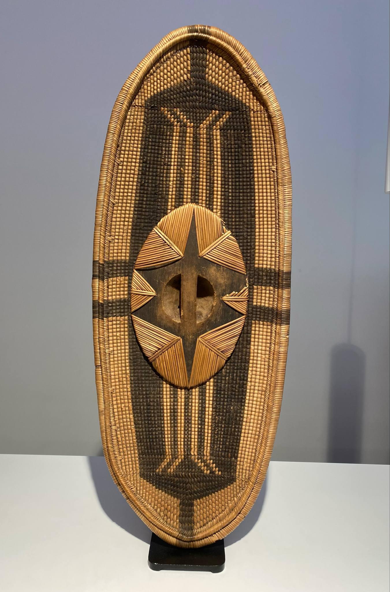 19th century DR CONGO African shield tribe Bandia Zande Djabbir 1880-1900 Art For Sale 6